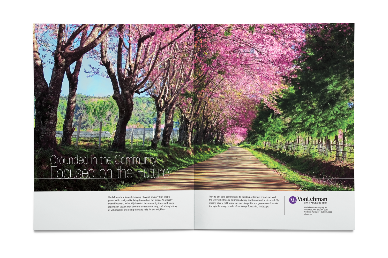 brochure-springtrees-mcmillen-creative.png