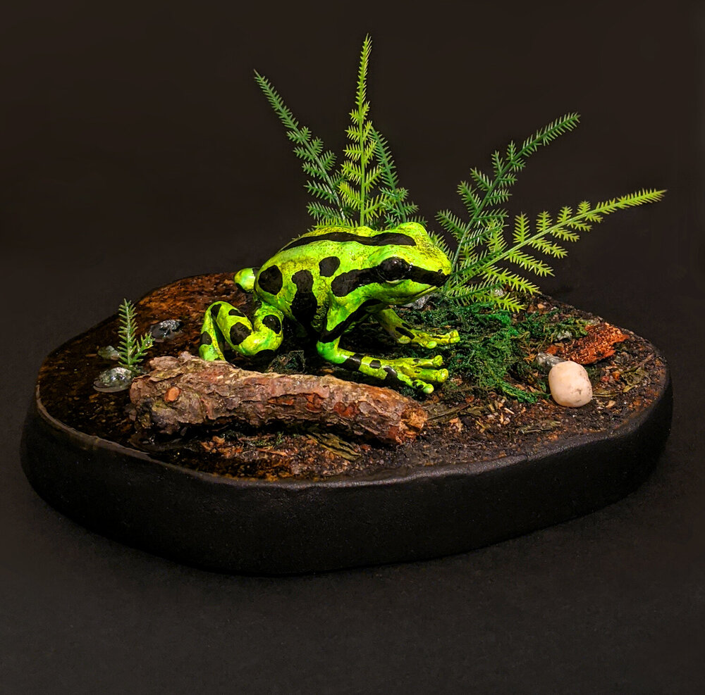 Custom Rainforest Diorama — Bolde Studios