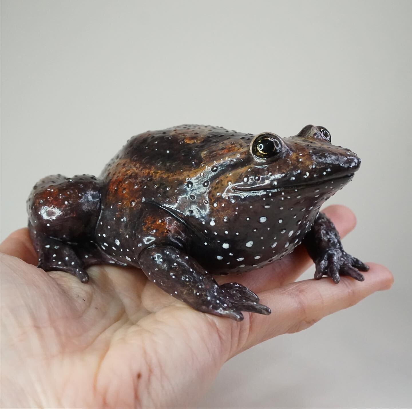 Gallery — Bolde Studios