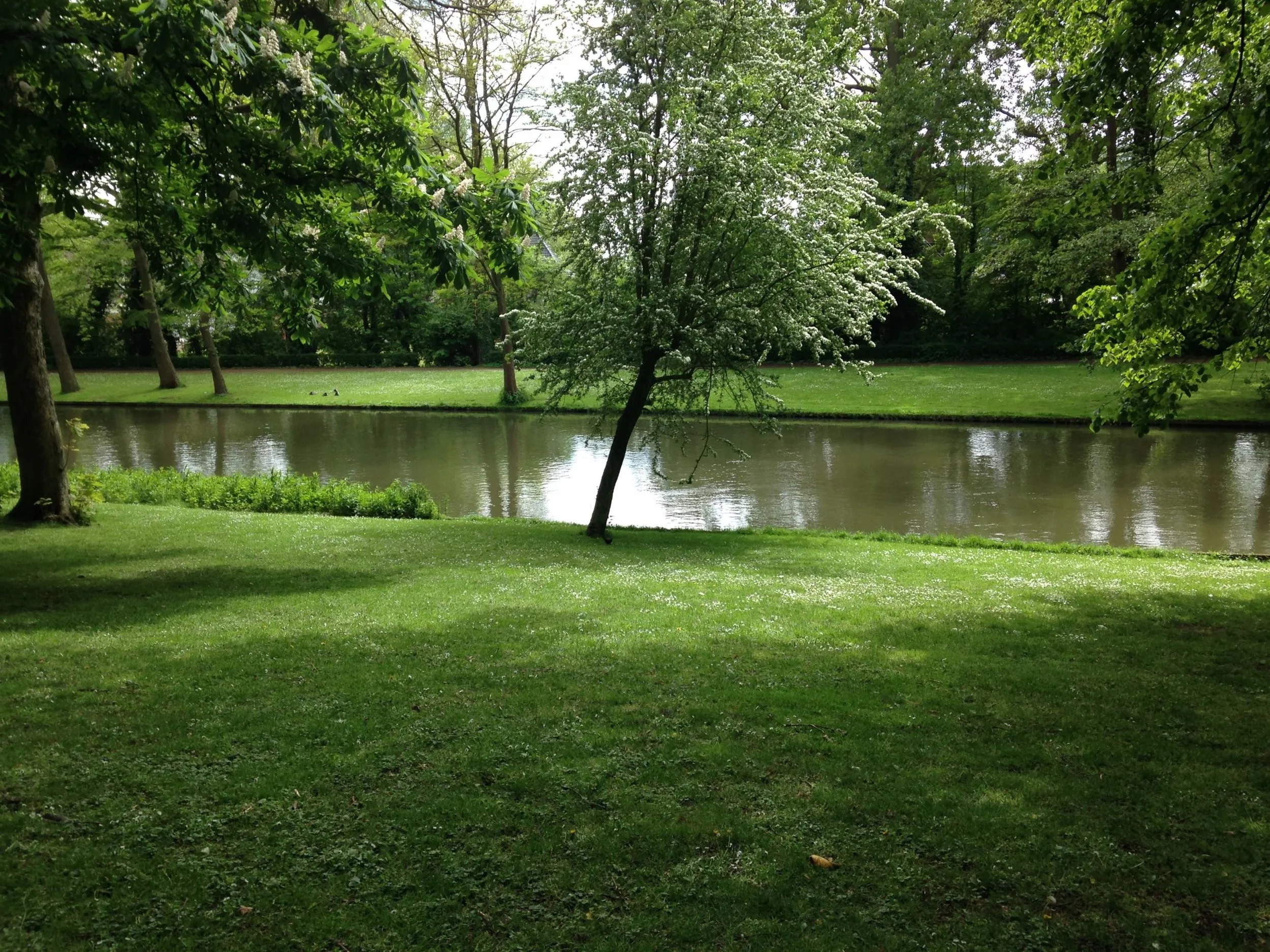 ART1280_12.jpg