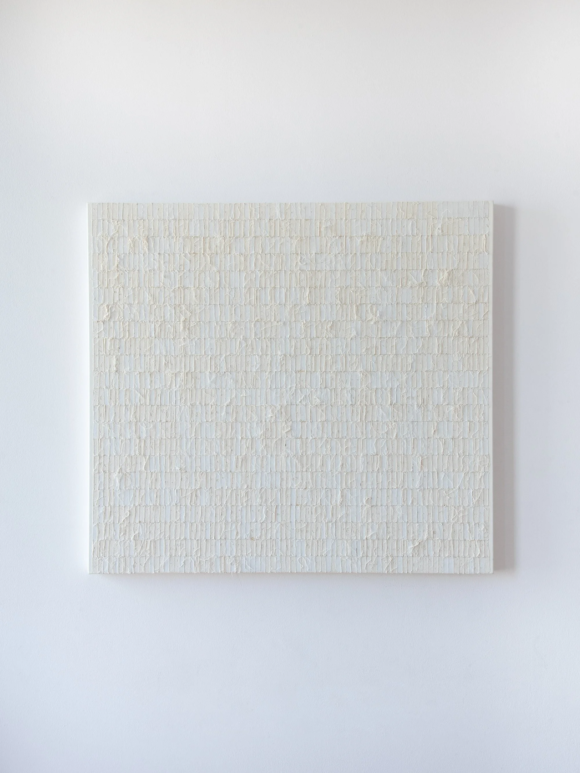 AJ-25-01 A_Photo Agustín Arce low.jpg