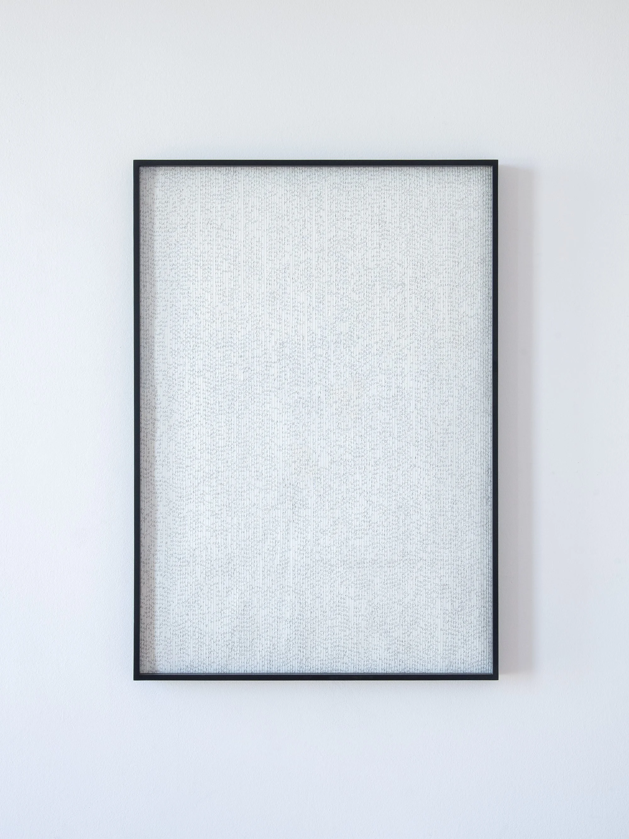 AJ-25-04 A_Photo Agustín Arce low.jpg