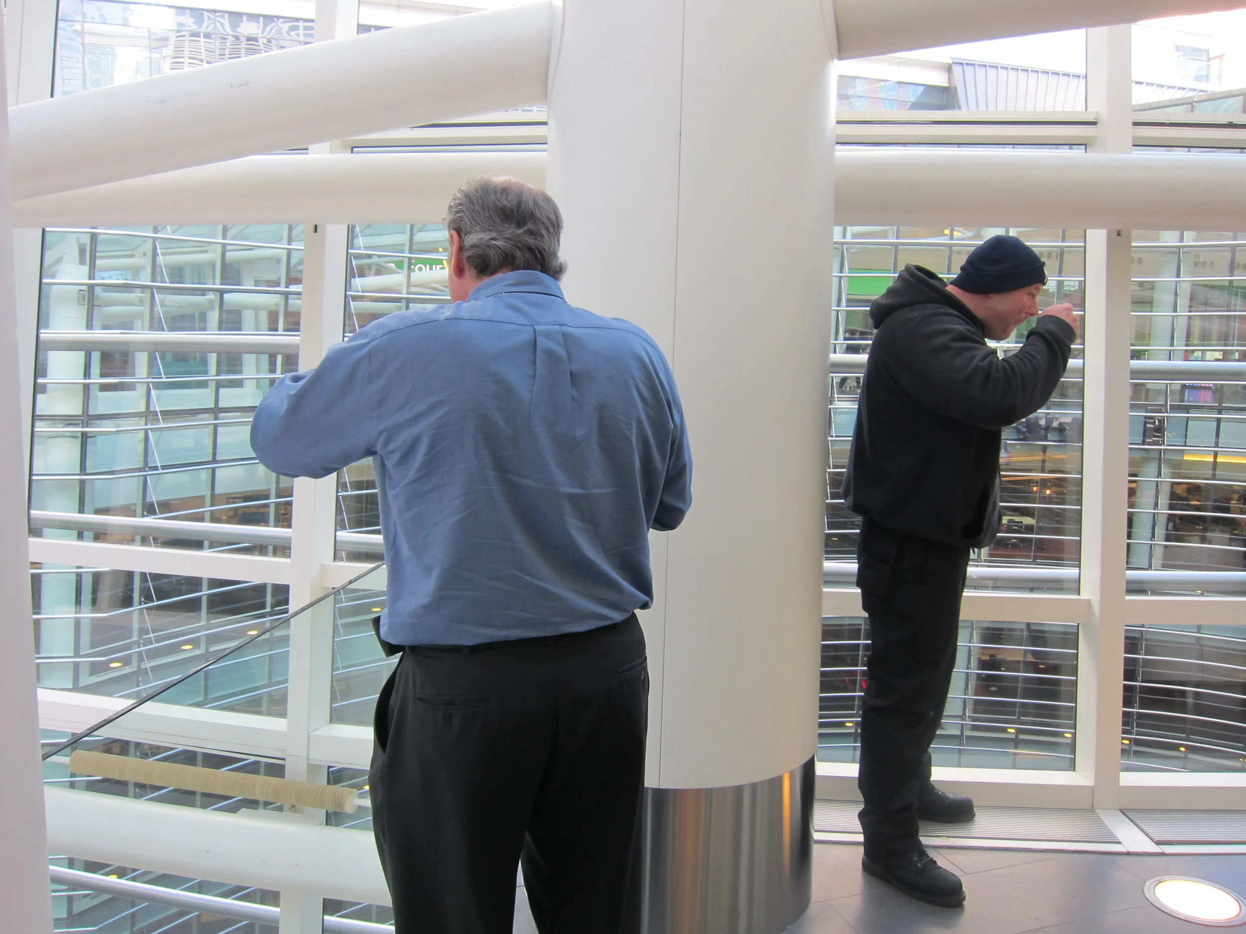 Insights Distilled From Observation