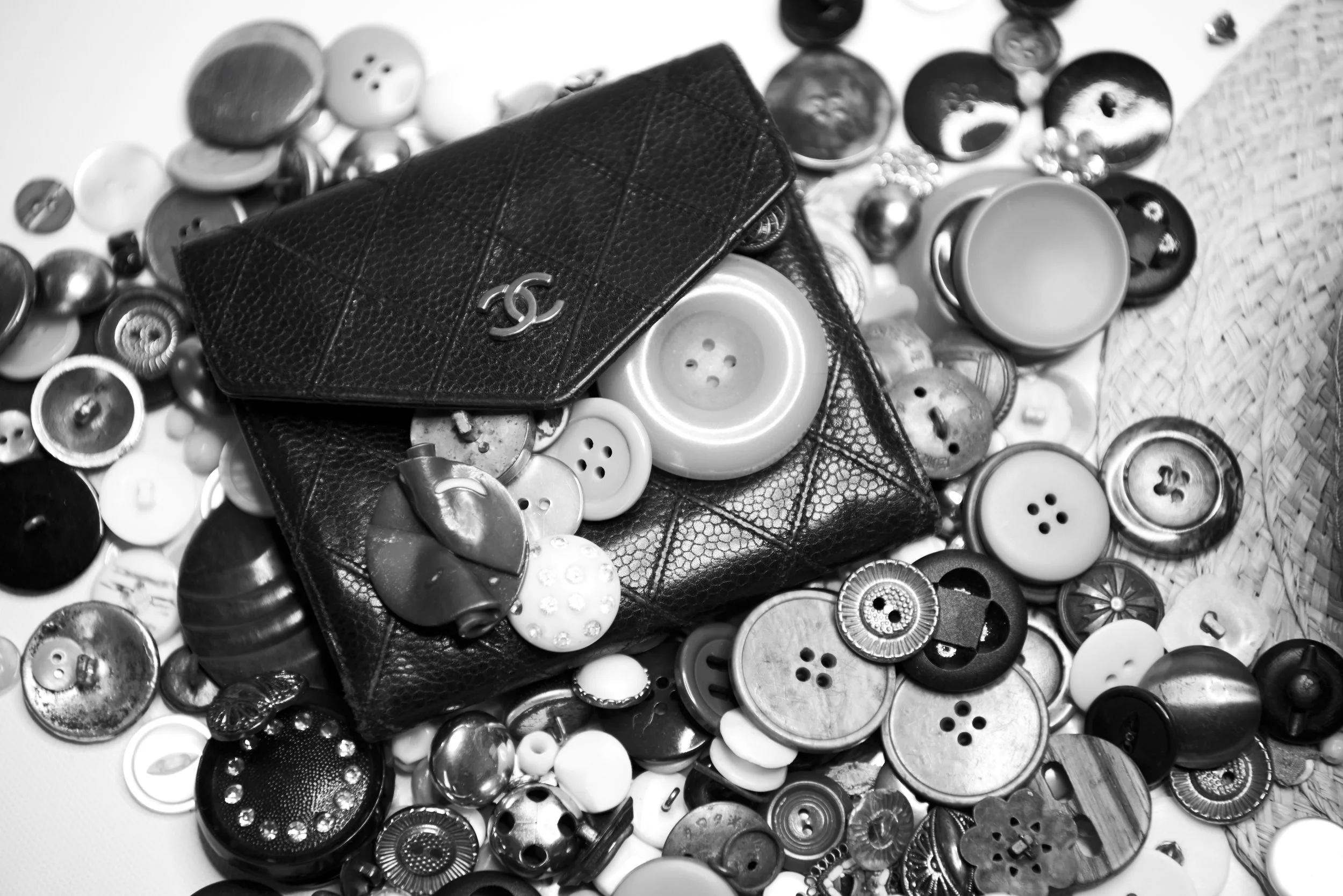 _DSC0111.jpg