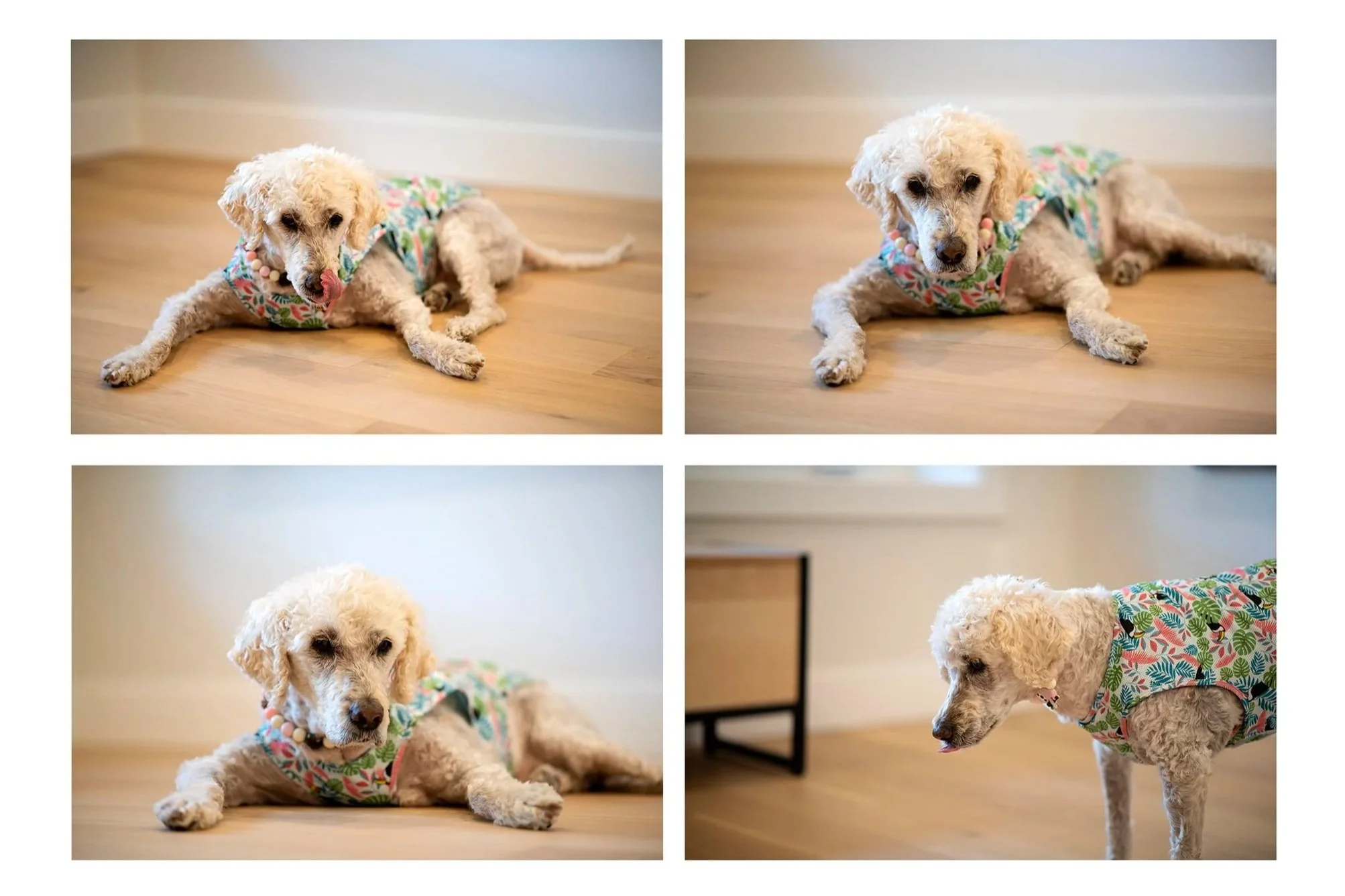 Maeby17-composite-flat.jpg