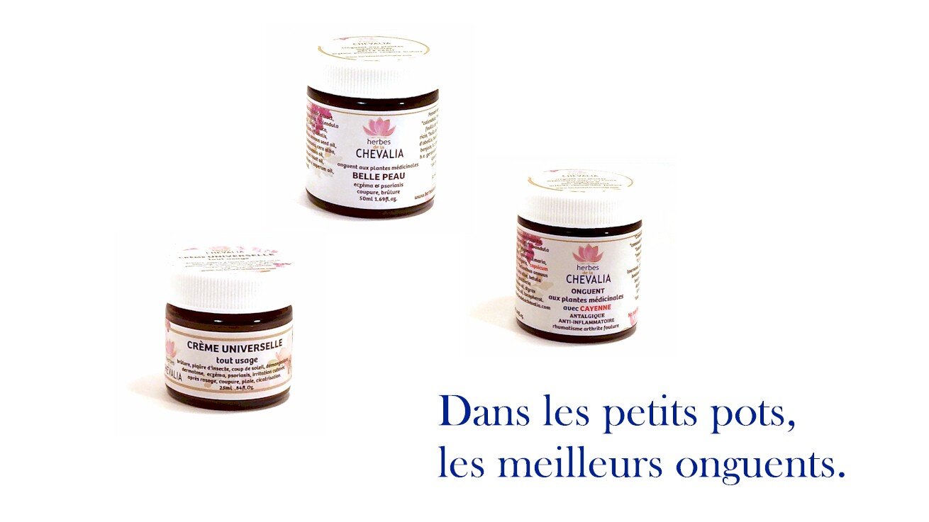 petits-pots-meilleurs-onguents.jpg