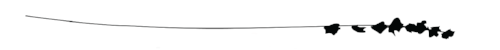 flower sprig . habit.png