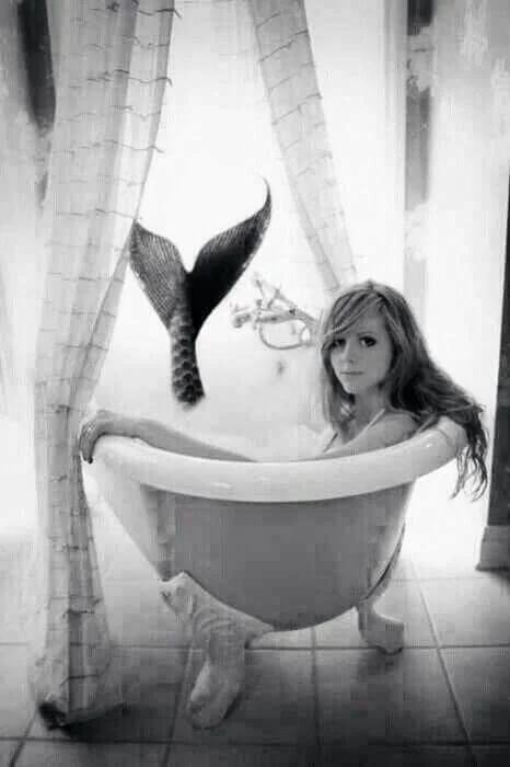 letsbemermaids.jpg