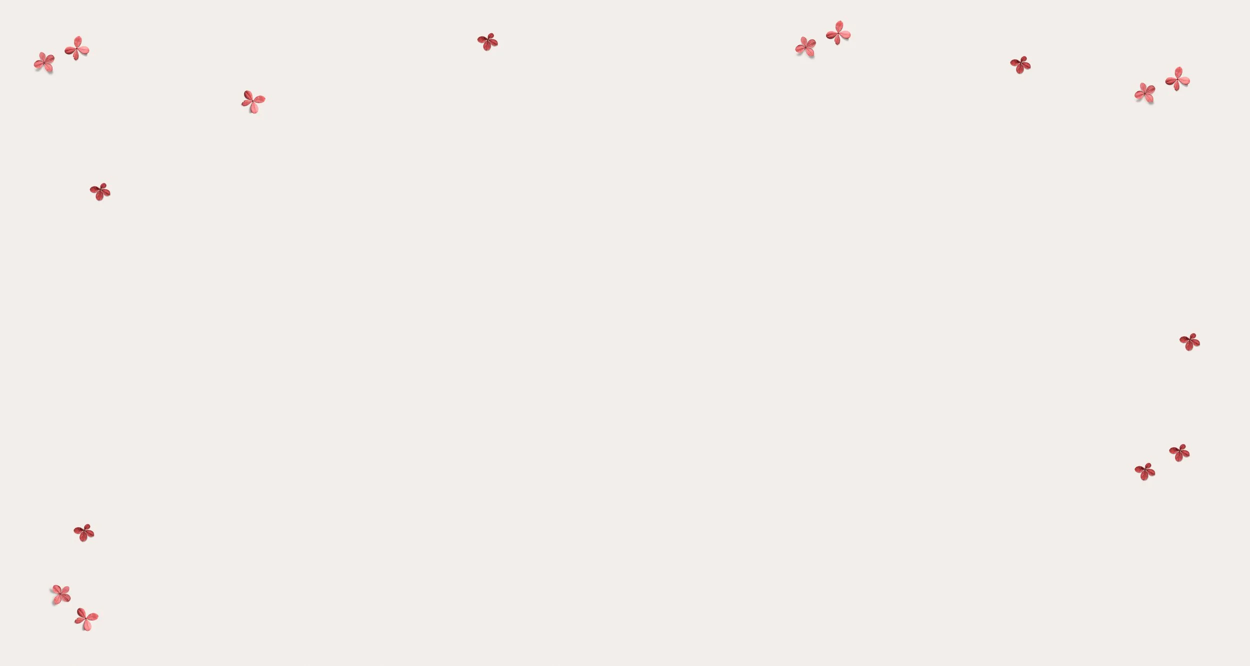 Background-flowers-white.jpg