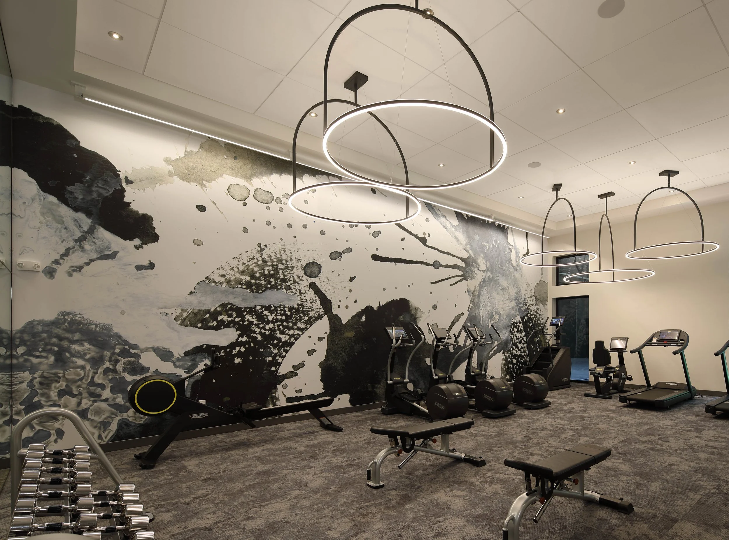 Hazel # 13.2 Cropped.jpg