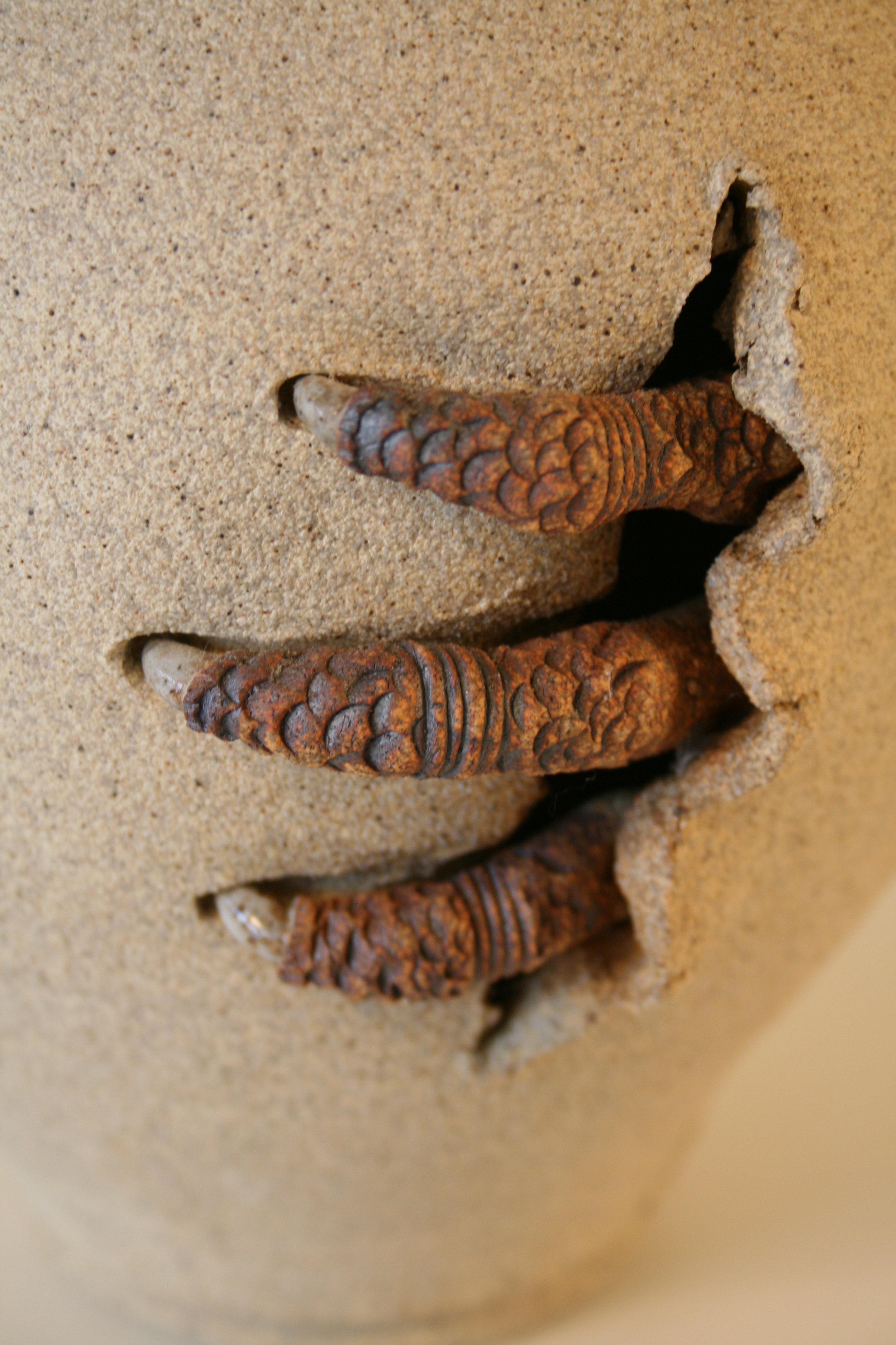 Claw Pot series  Get A Grip  detail.jpg