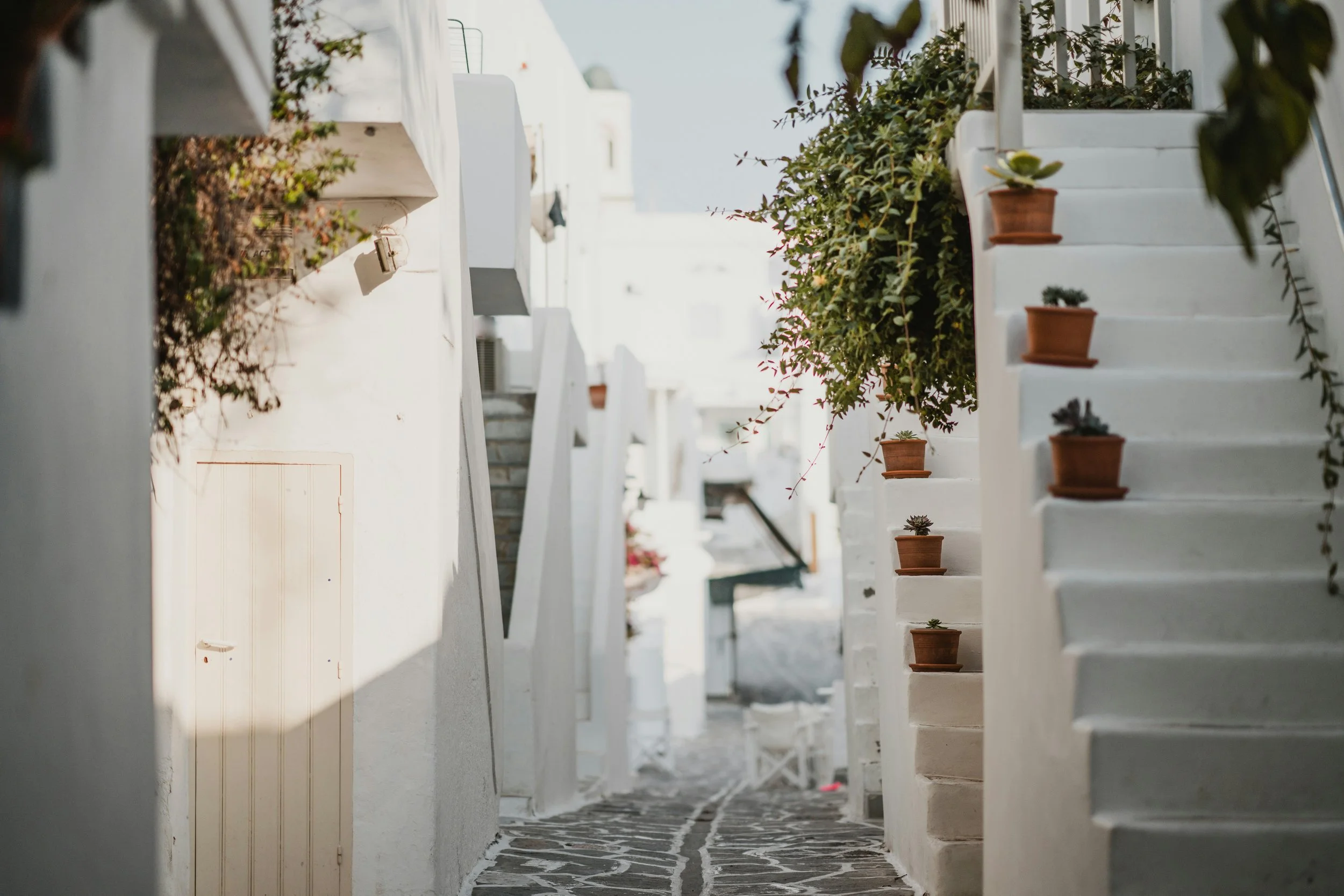 annie-spratt-DHK2G5qgKGQ-unsplash (2).jpg