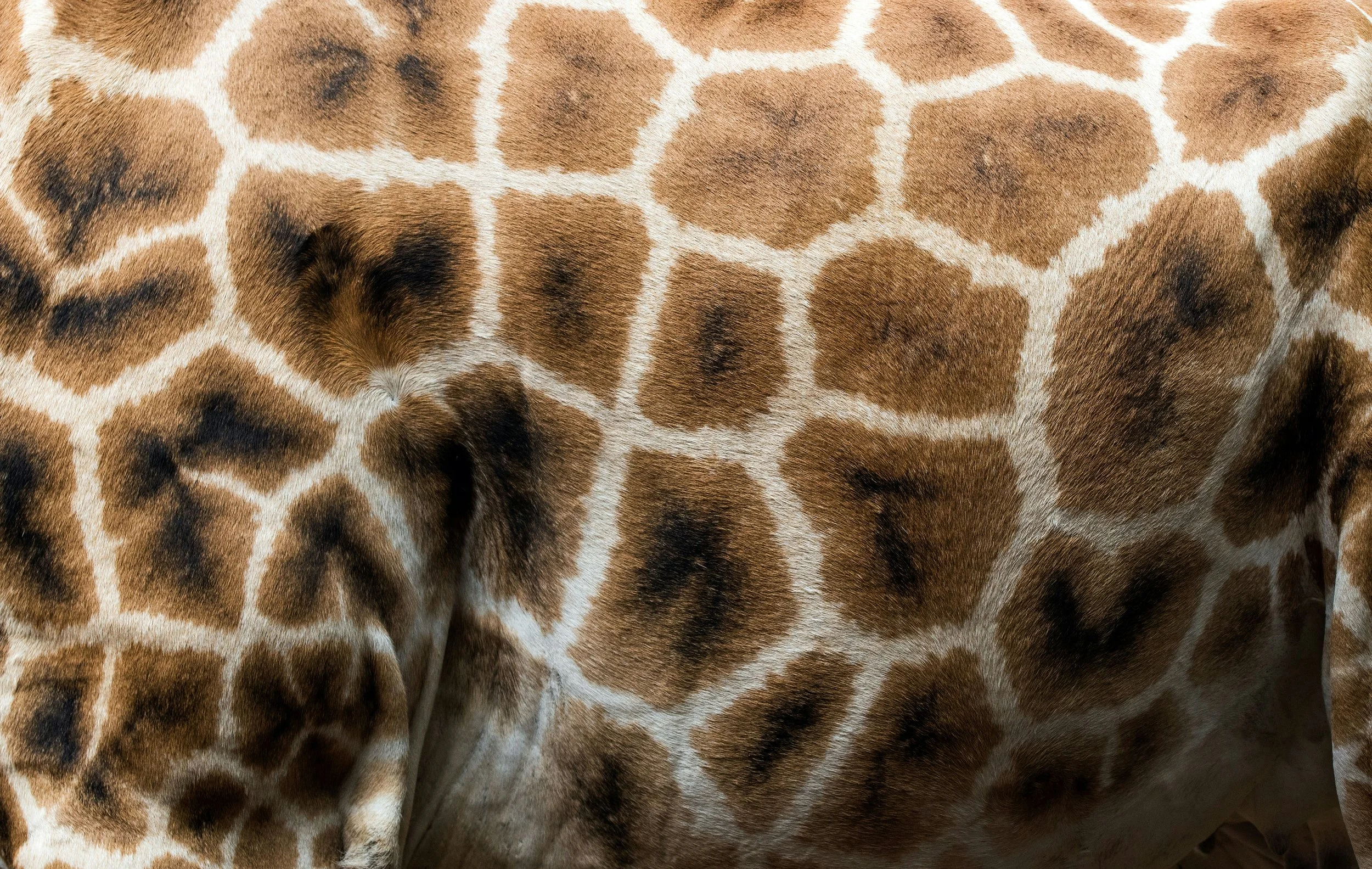 What to Pack: Kenya in a Carry-On
