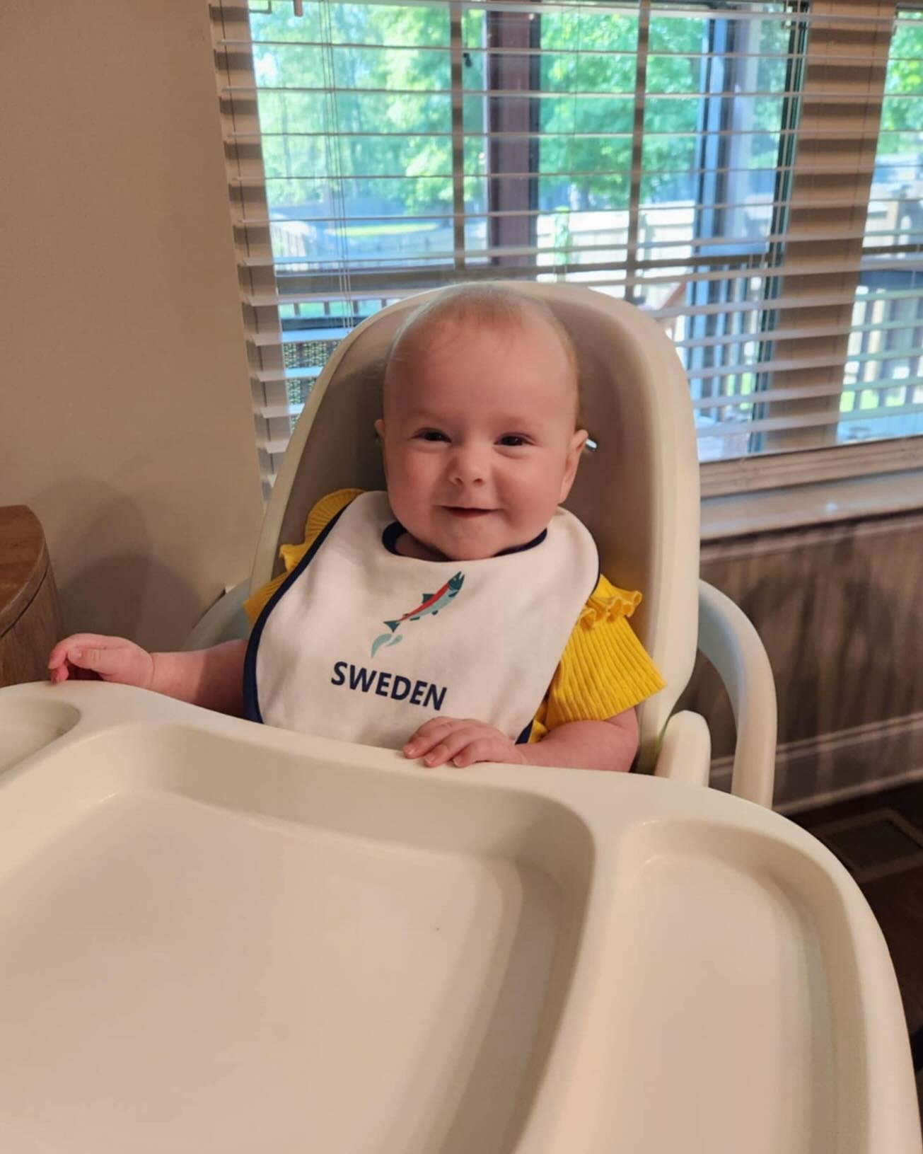 Our tiniest traveler is already repping her first souvenir! Baby Harper&rsquo;s rocking her bib from Sweden&mdash;picked up on her Land + See adventure in utero. Starting her travel collection early and looking adorable doing it!

#landandseetours #s