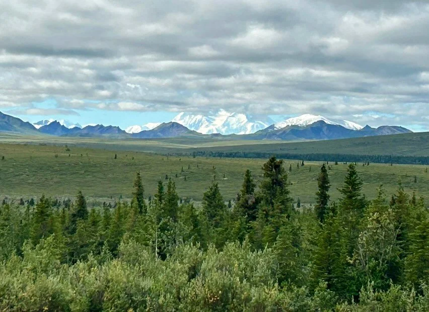 A moment my travelers shared from Denali&mdash;A view like that can really make you forget what day it is.