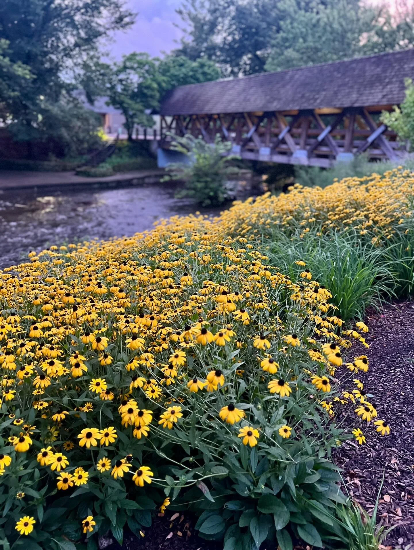 Sometimes the best adventures are right at home.

What&rsquo;s a spot in your own backyard that more people should know about?