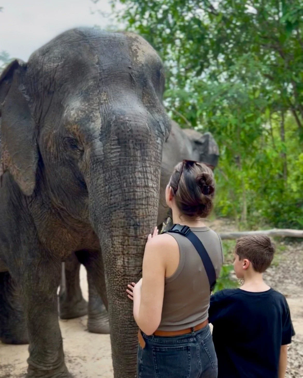 During our trip to the elephant sanctuary in Cambodia, we met these magnificent creatures who had been rescued from a life of photo ops and tourism. Today, they roam freely in a serene sanctuary where visitors don&rsquo;t take, but give. We fed them,