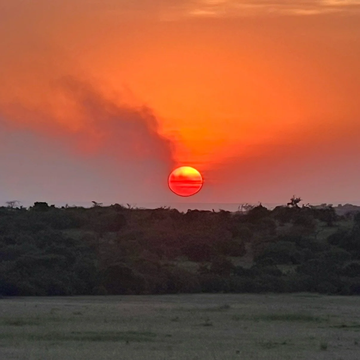 I was talking about Kenya with my aunt recently, and she asked what made it so special. I tried to answer, but nothing felt big enough or honest enough. How do you explain a place that didn&rsquo;t just impress you, but rearranged something inside yo