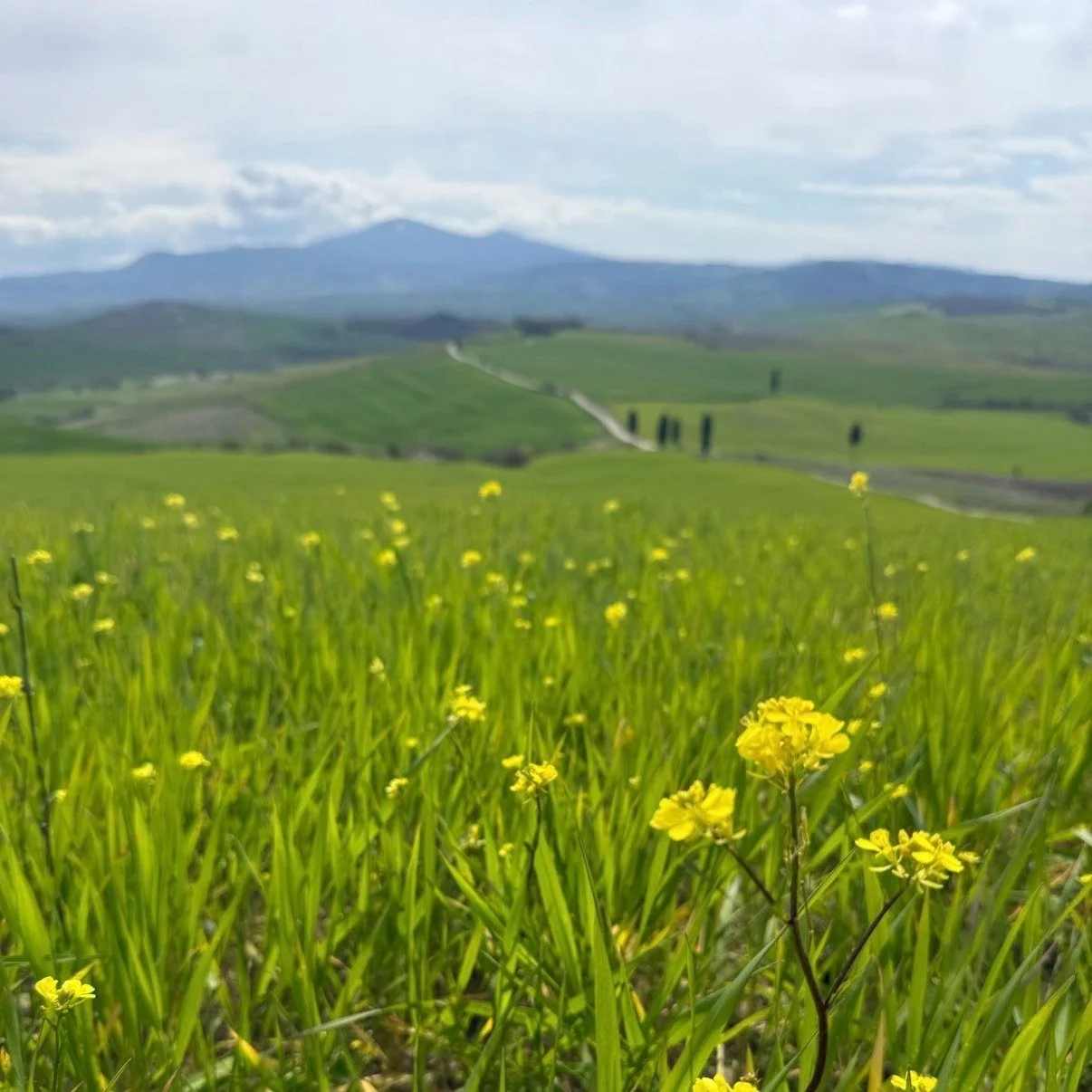 This is what &ldquo;custom&rdquo; actually means to us &mdash; not just choosing a destination, but shaping the experience around how you want to feel.

The Mitchell family had been to Italy before. They knew the highlights, the rhythm, the usual sto