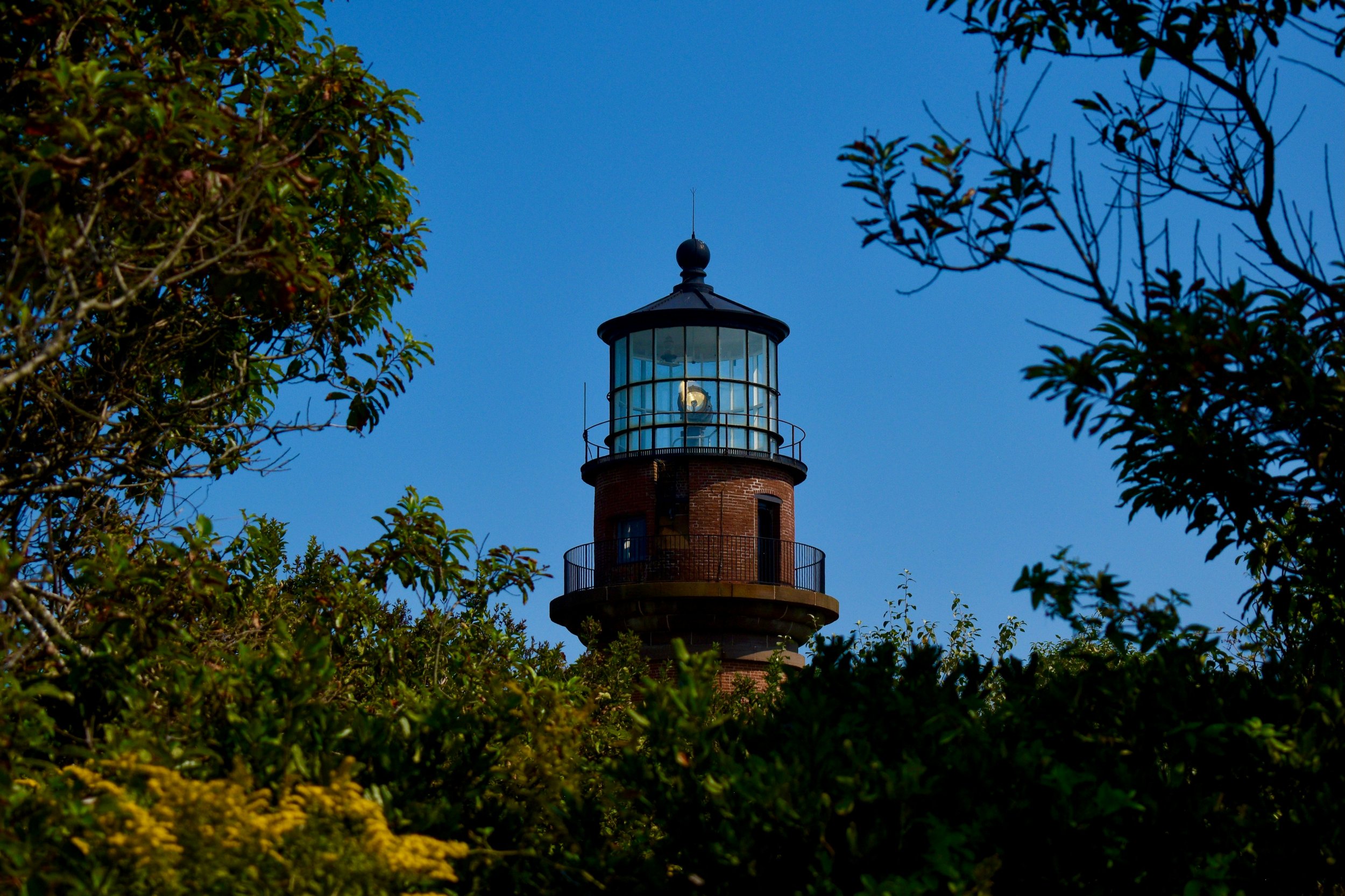 thomas-dewey--Rtw2kl-q8o-unsplash.jpg