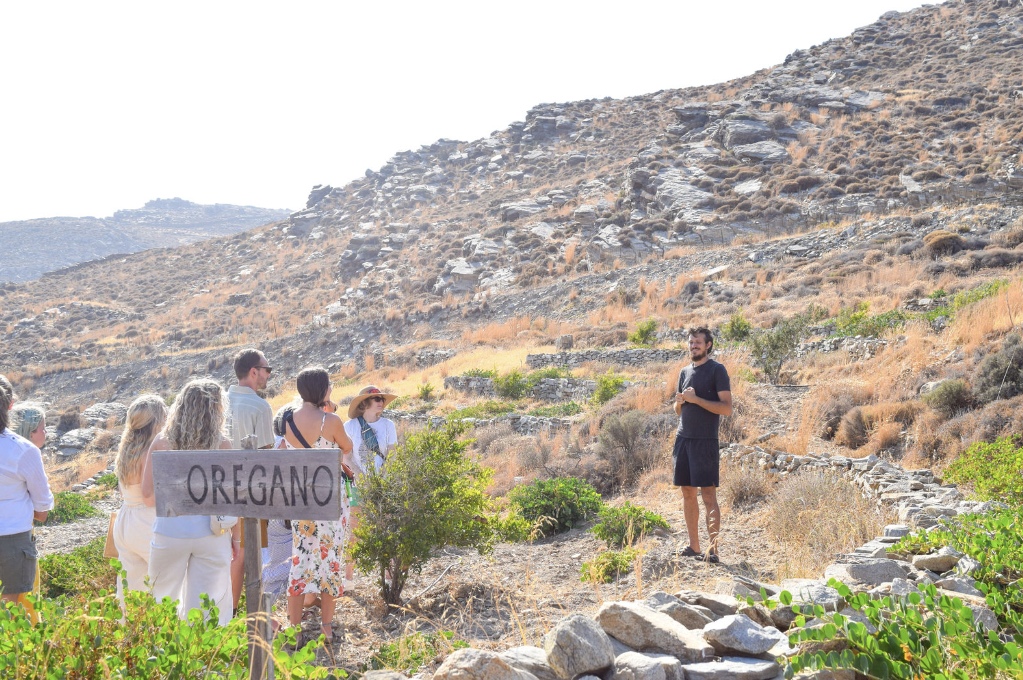 Screenshot 2026-02-26 at 10.59.17 AM.png