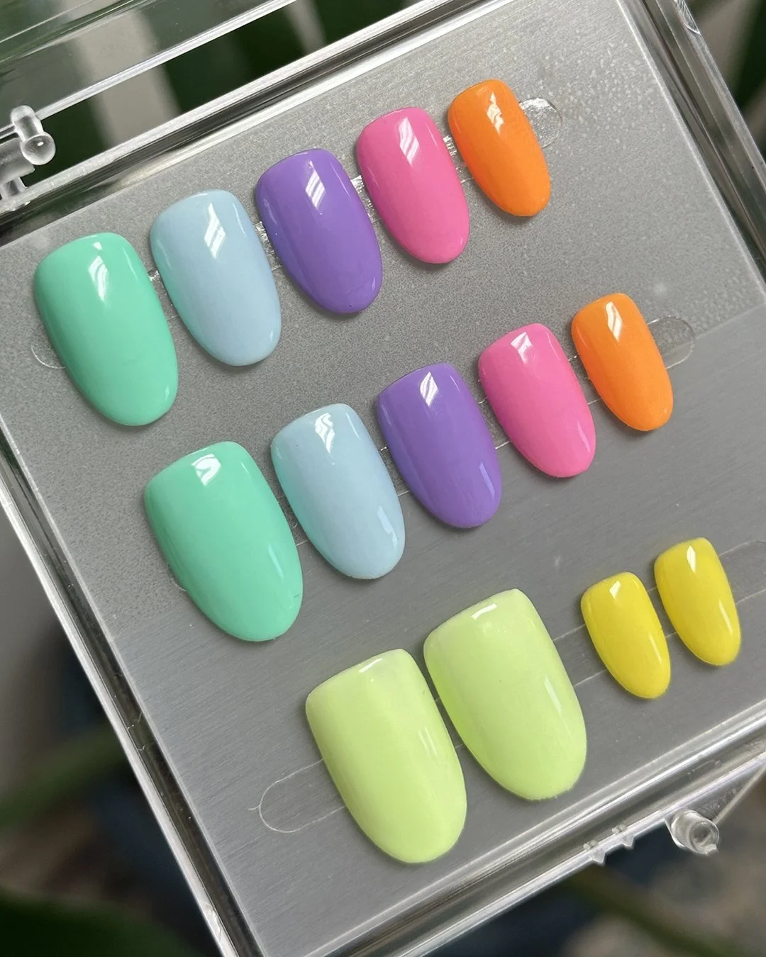 Classic Multi-Color (2).jpg