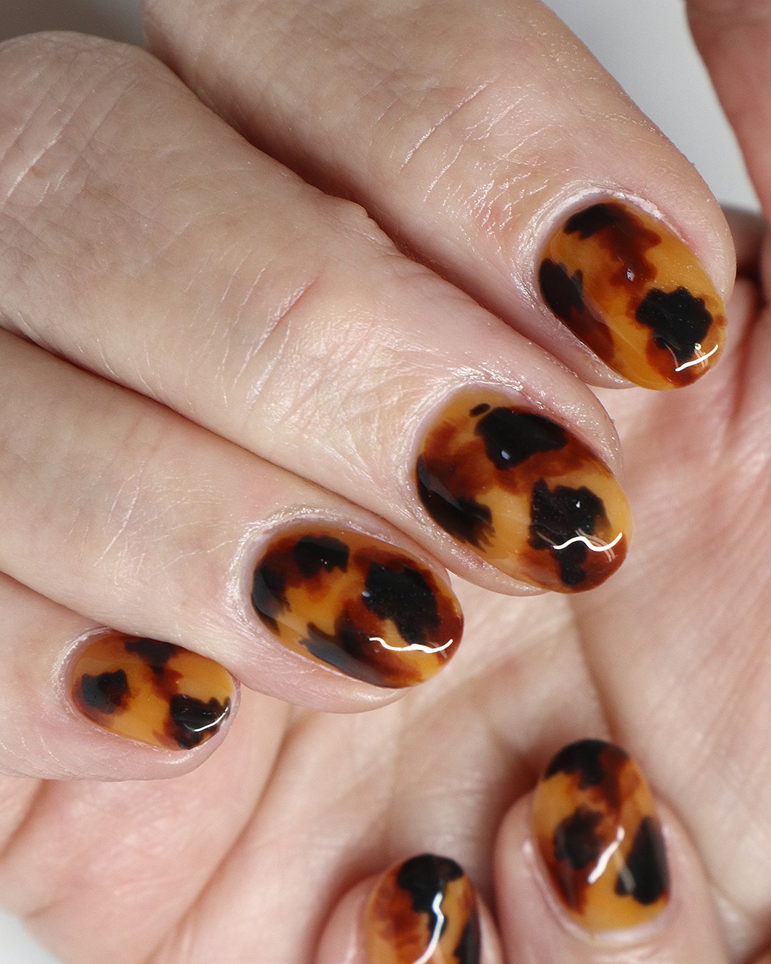 Diane - enVouge Tortie KIt (2).jpg