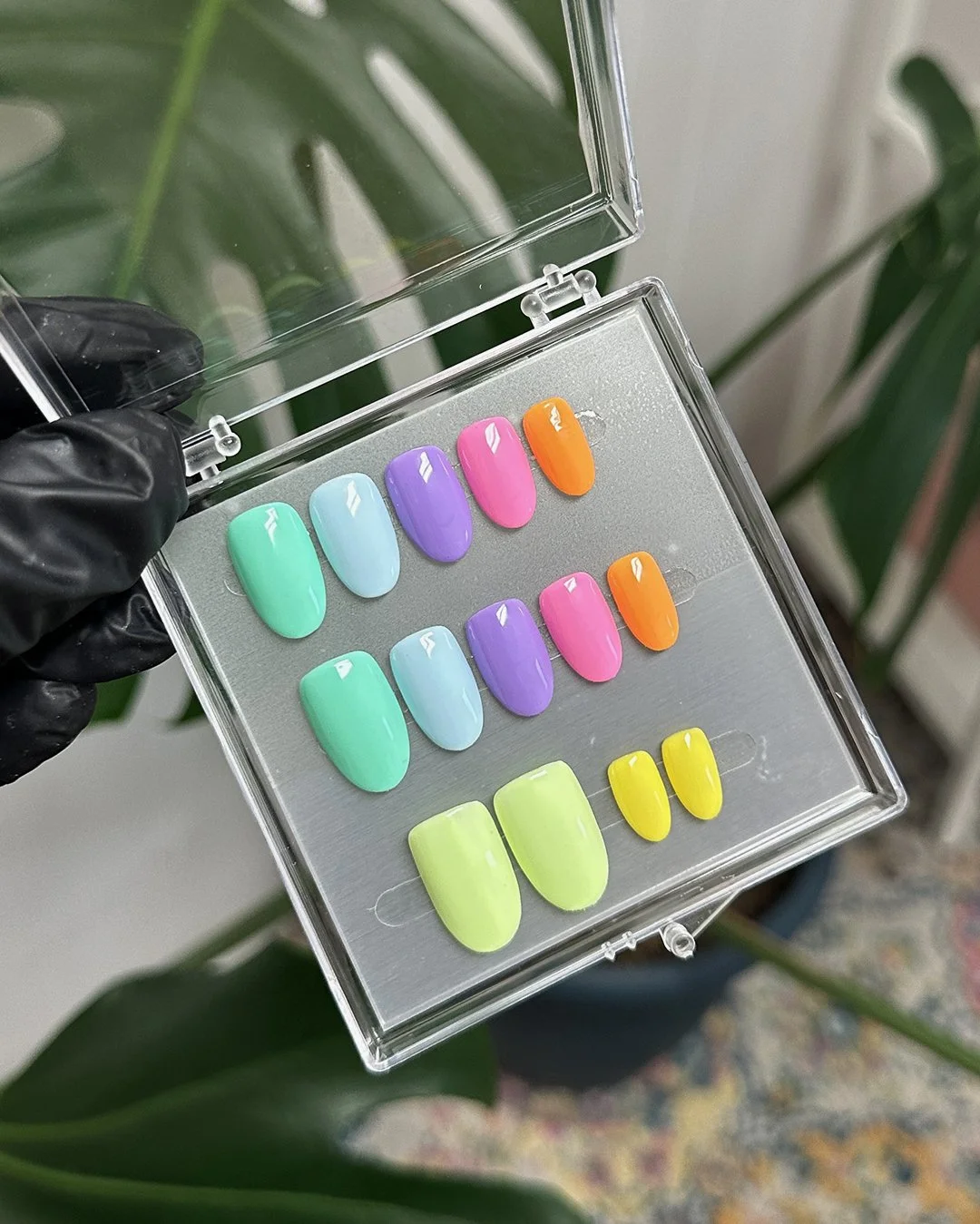 Classic Multi-Color.jpg