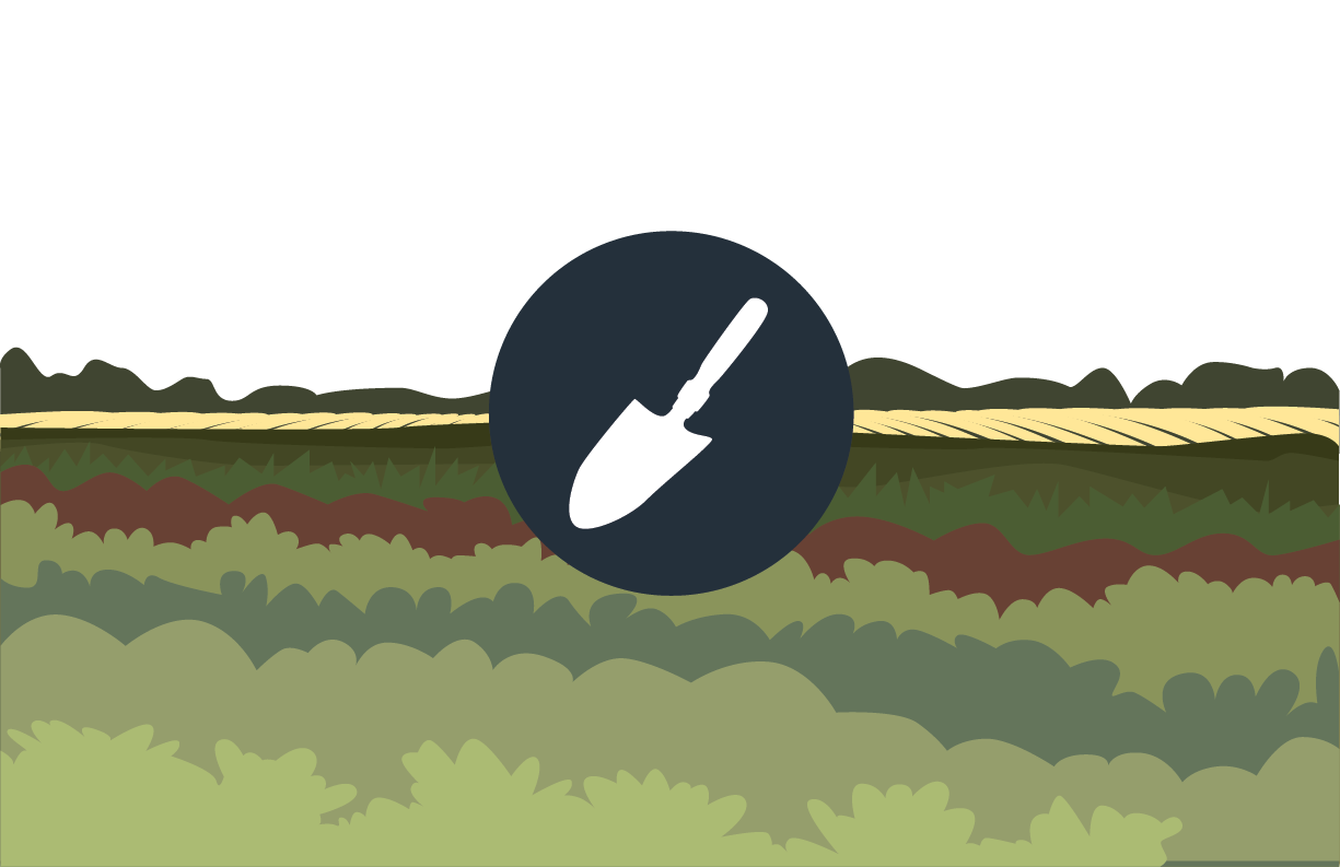 garden_illustration.png