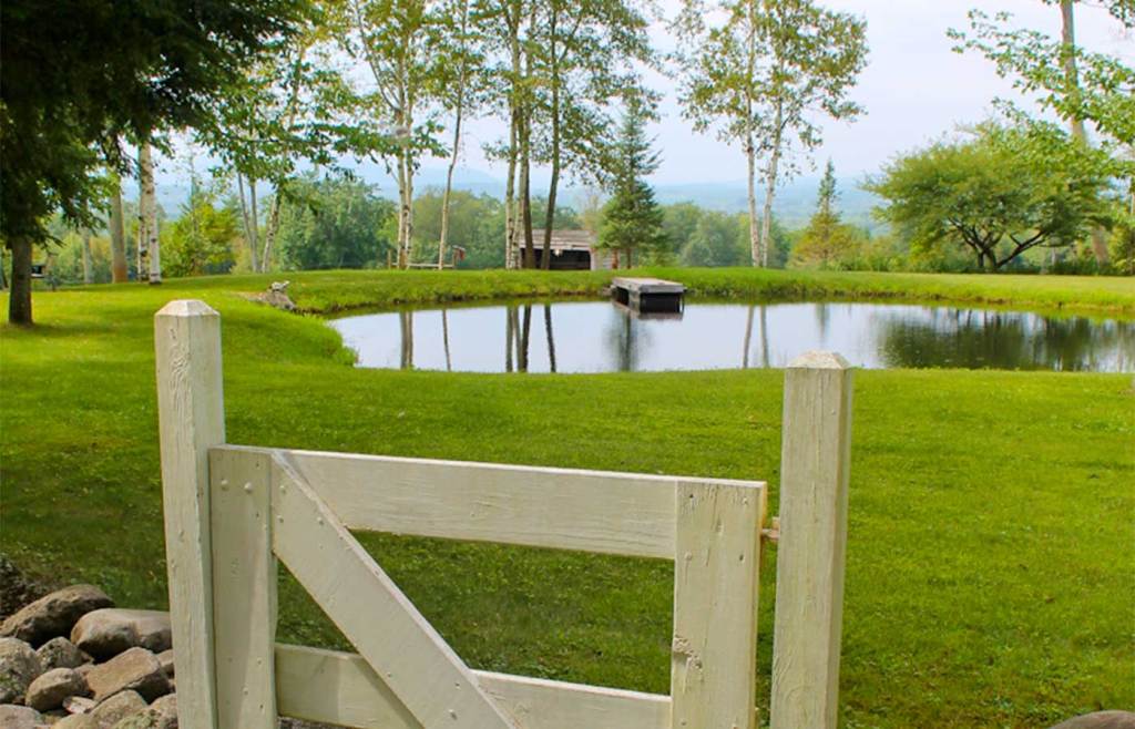 White Gate Pond.jpg