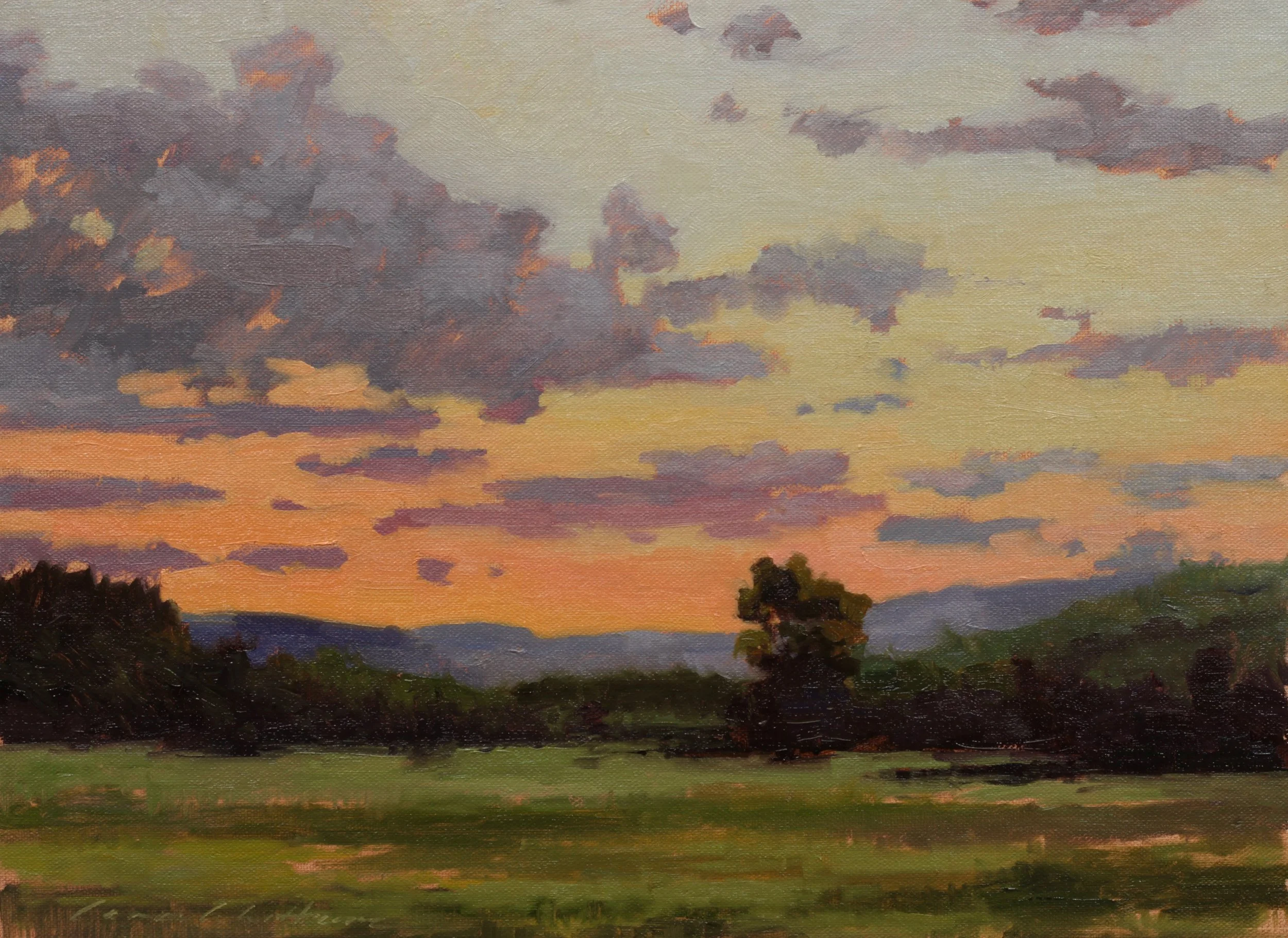 Whittum-_image_Meadow Sunset Study.jpeg