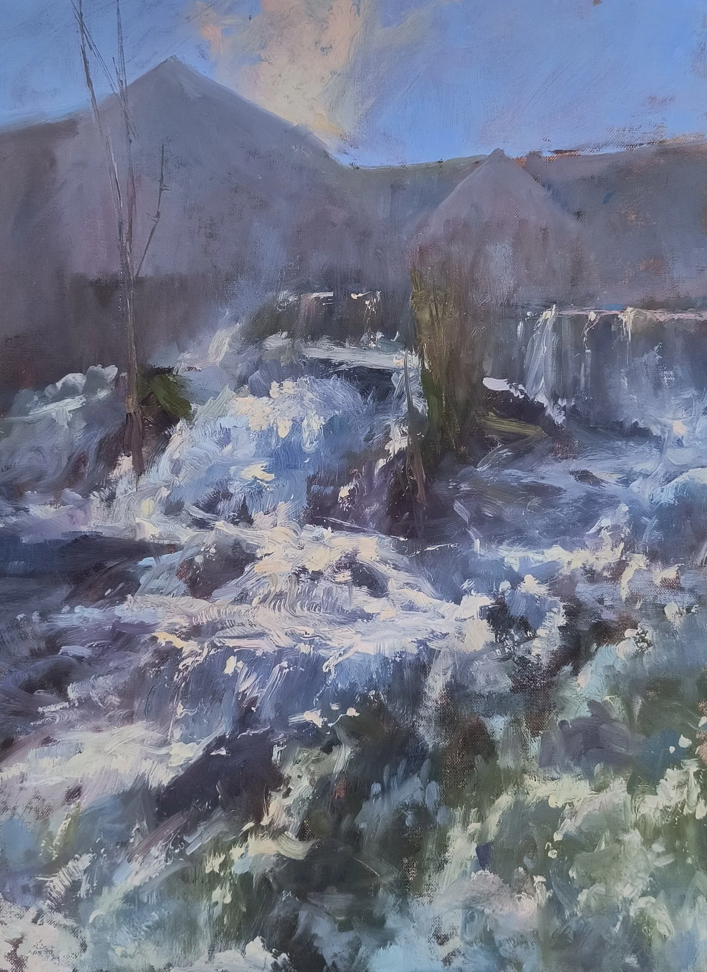 Goschke, Fast and Furious, Camden Falls, 16 x 12.jpg