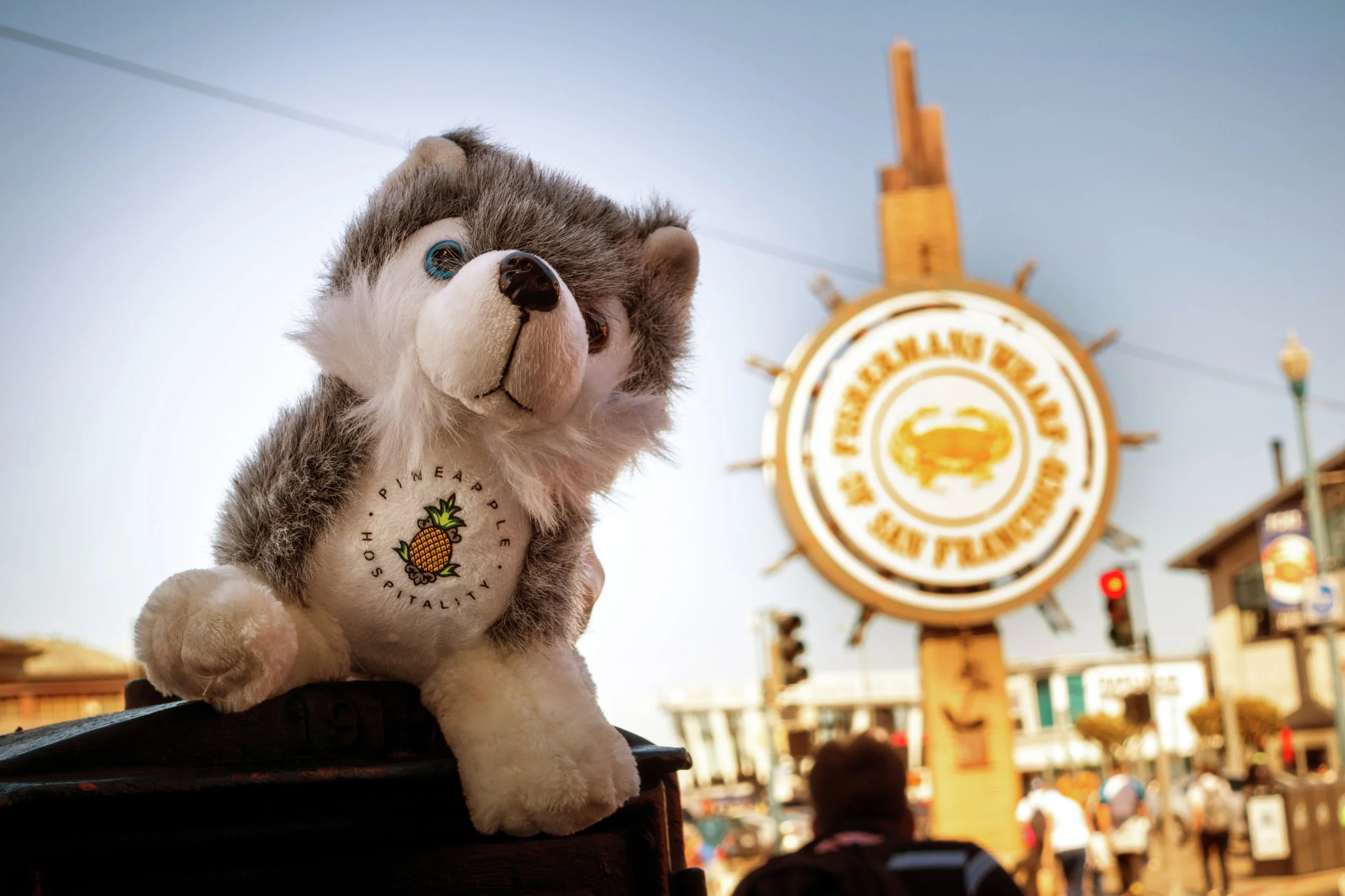 The Alise San Francisco-Marketing Photos-Dash At Fishermans Wharf-3500x2333.jpg