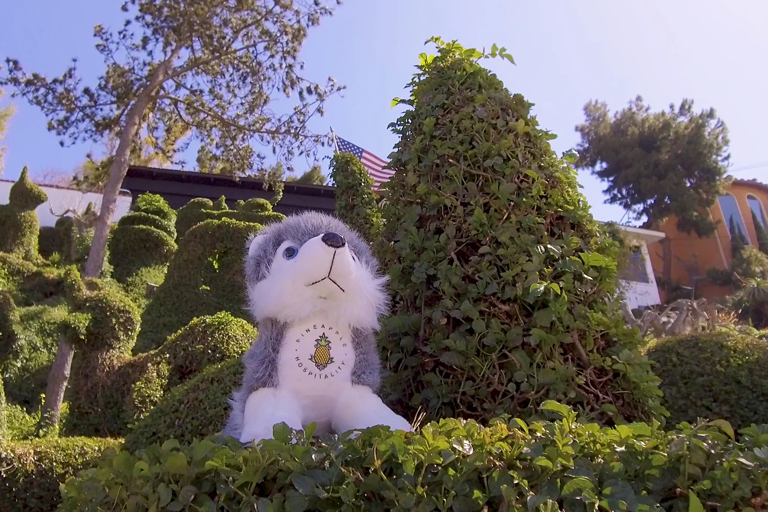 Topiary-garden-dash.jpg