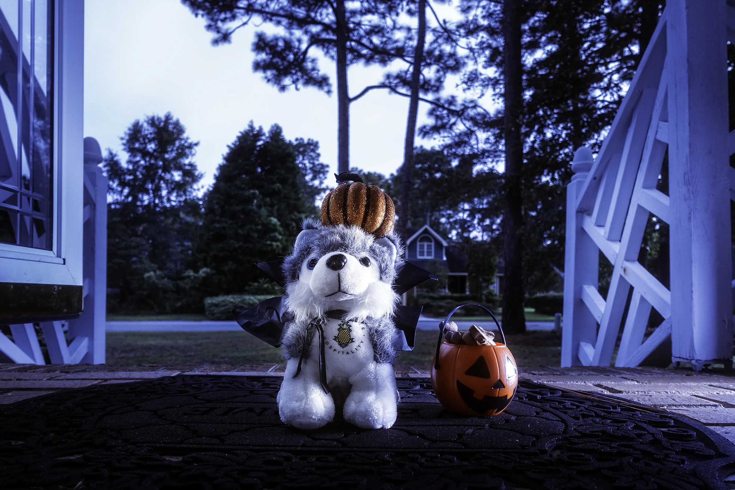 Dash Halloween.jpg