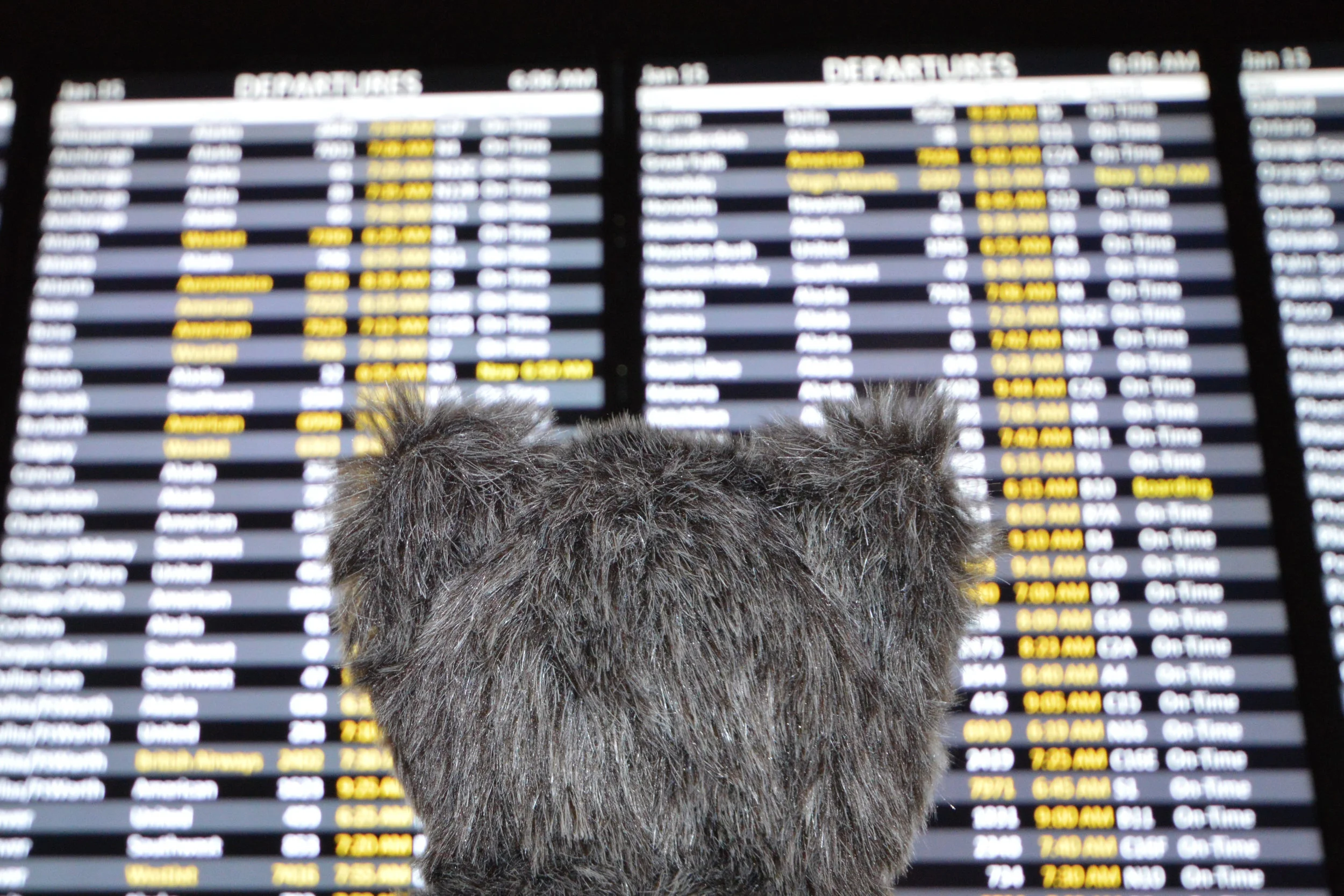 Where's Dash Going Departures.jpg