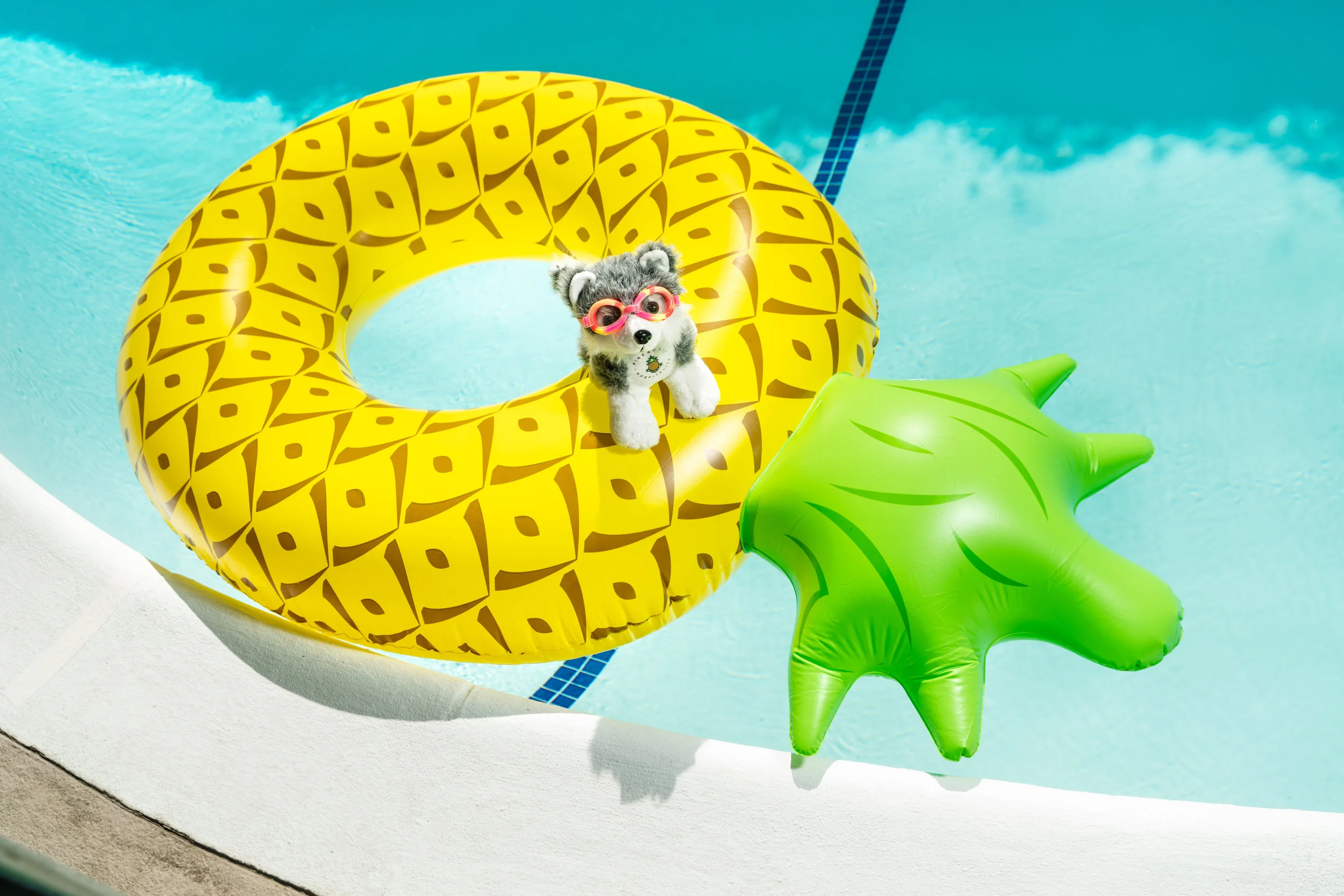 University Inn-Marketing Photos-Dash Pool Pineapple Floatie-3501x2335.jpg