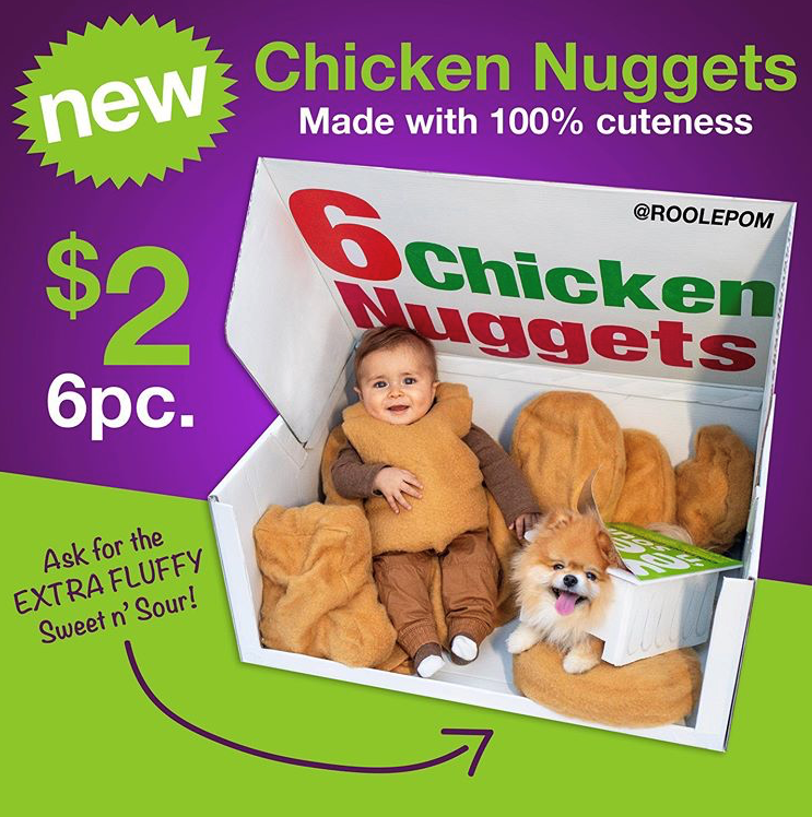 WE HAVE OUR PINEAPPLE PUP COSTUME CONTEST WINNERS!