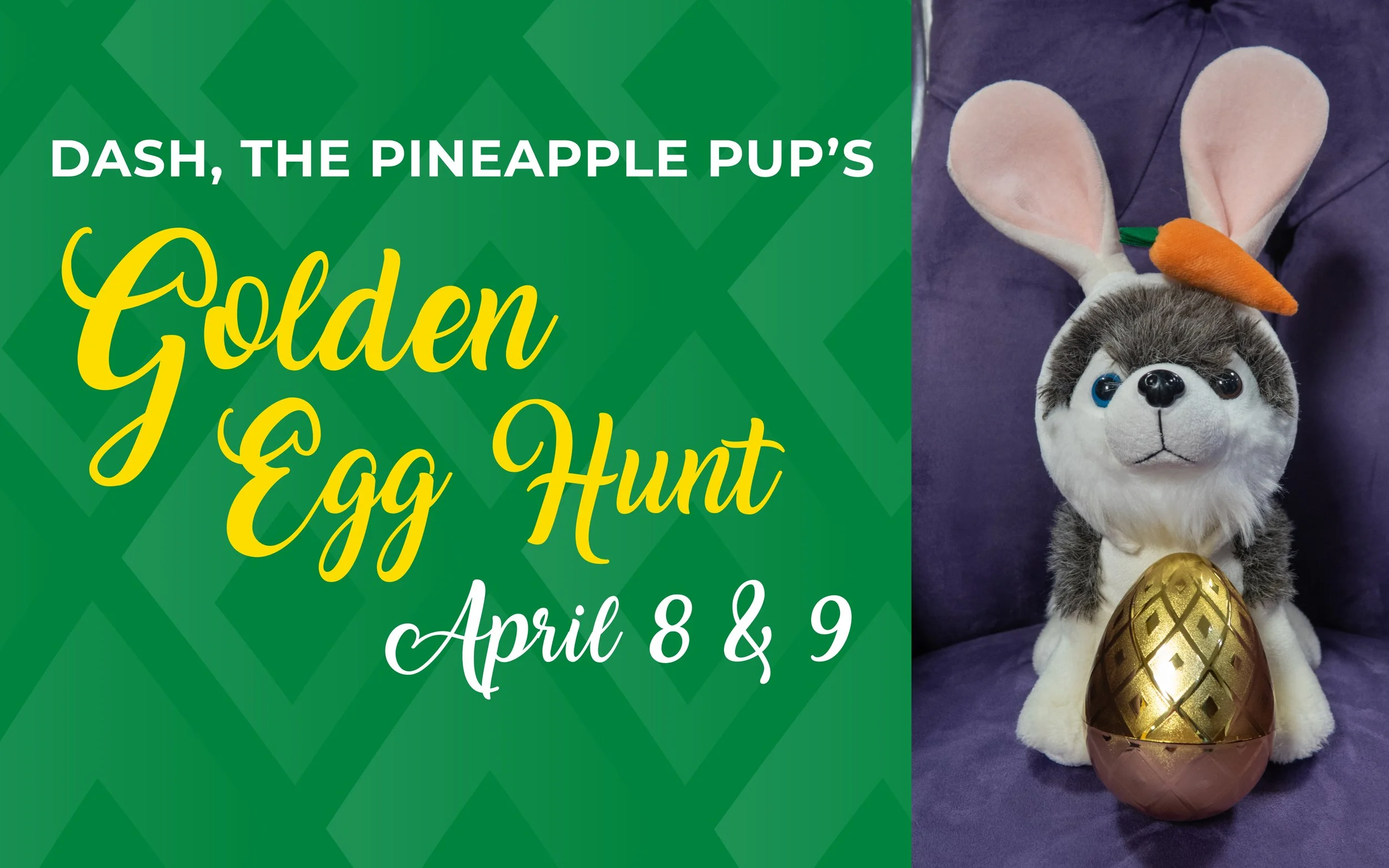DASH’S GOLDEN EGG HUNT