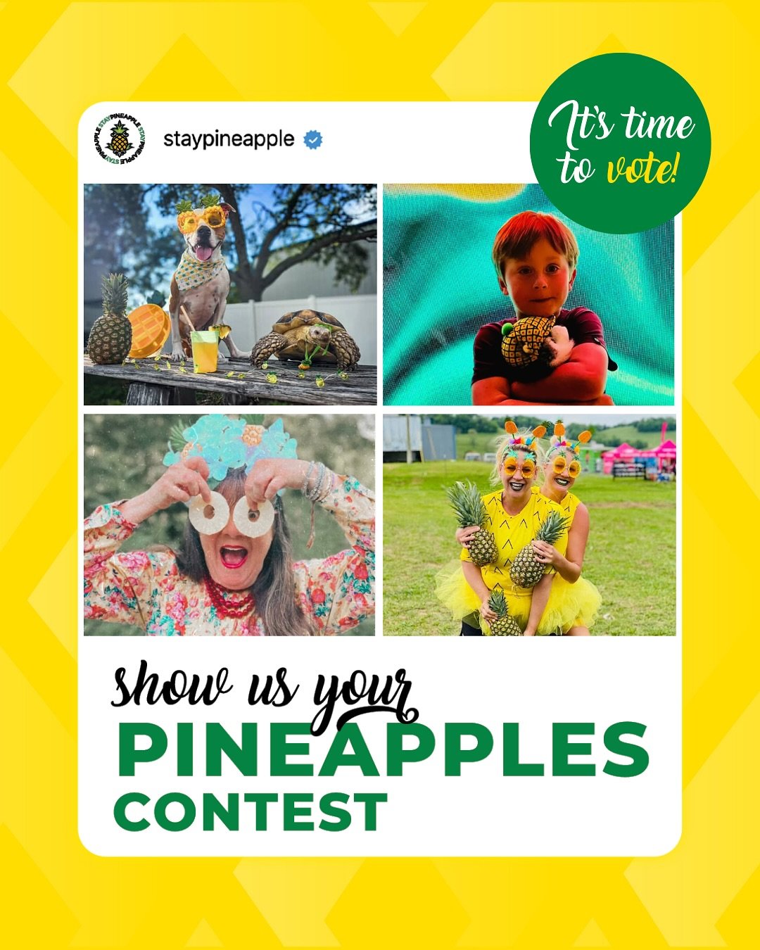 VOTING STARTS NOW! 🍍 In honor of International Pineapple Day, we encouraged you to #ShowUsYourPineapples25 and boy, did you all deliver.

Our team of Pineapple experts narrowed the entries to a top-four&hellip; now it&rsquo;s up to YOU to decide the