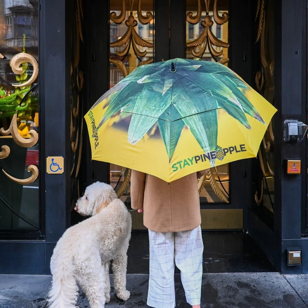 Rain or shine, adventure awaits 🍍☔ From city streets to cozy retreats, Staypineapple has you covered &mdash; literally 💛