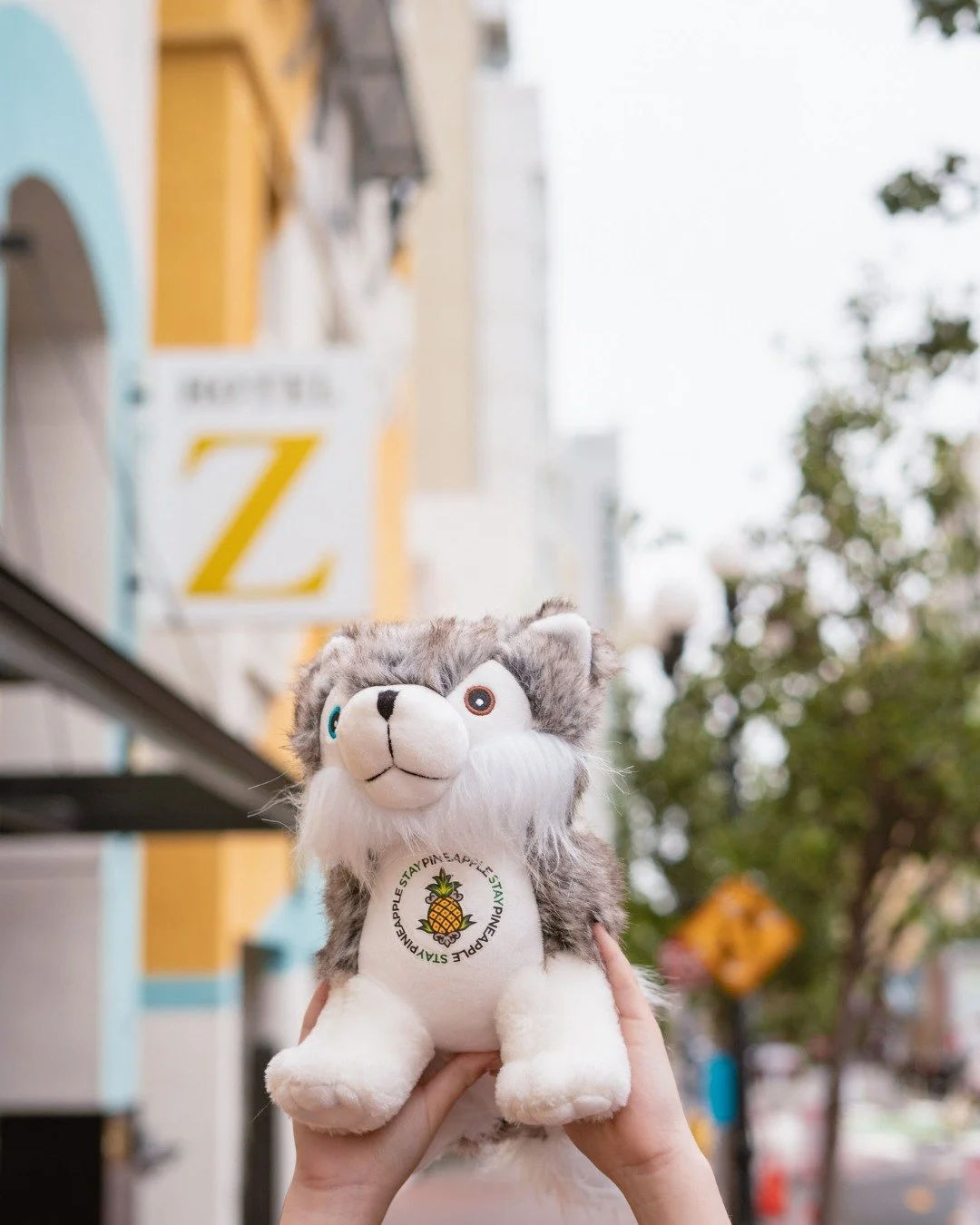 Family time feels different in San Diego ☀️🌴 

Kids always stay FREE at Hotel Z, but this October we're sending every child home with a Dash coloring book and stuffy to remember the adventure. Ready for your beach escape? Code KIDSF at booking!