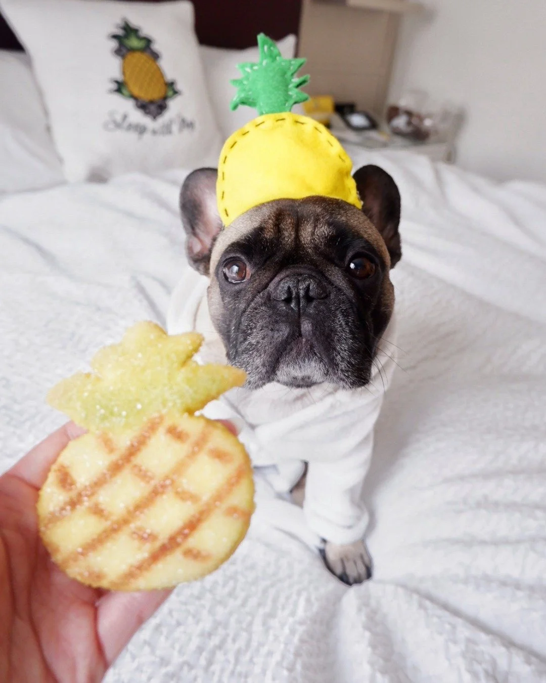 Pineapples: the only accessory you need 🍍✨ (Our guests agree)