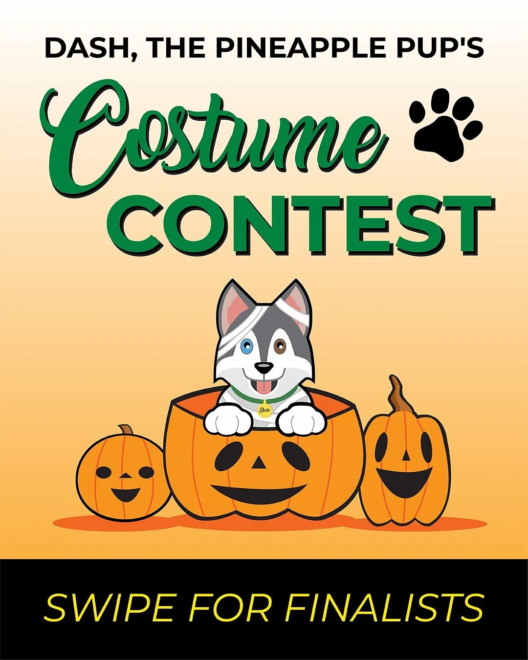 THEY&rsquo;RE HERE! 👻 Important announcement: VOTING STARTS NOW!

We&rsquo;ve finally selected the TOP FOUR contestants and possible grand-prize winners of the 9th Annual Dash, The Pineapple Pup&rsquo;s Costume Contest (and boy, you didn&rsquo;t mak