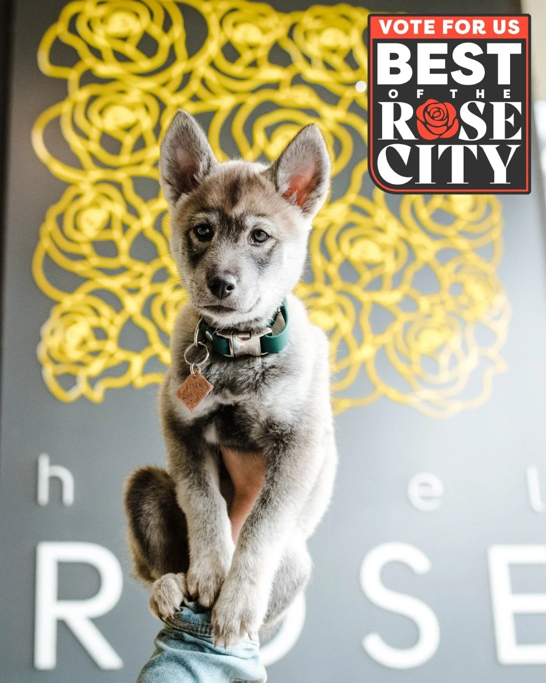 We're blushing! Hotel Rose has been nominated for Best Boutique Hotel in the Best of the Rose City awards, and we need YOUR vote to bring it home! 🌹

You can vote daily (yes, DAILY!) now through November 14th at 5 PM. Every vote counts! 💛

How to v