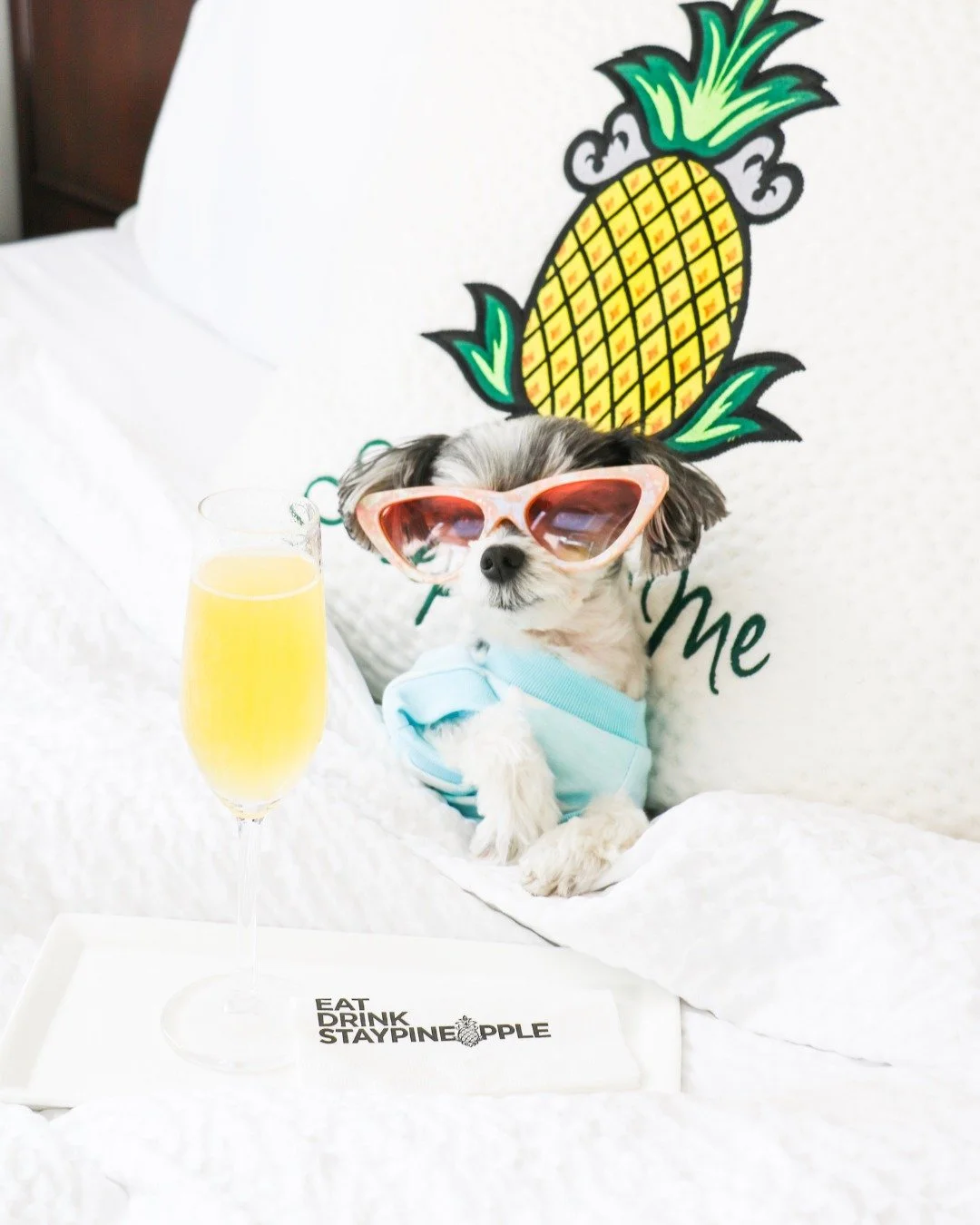 How you'll feel knowing you got 35% OFF your Staypineapple getaway during our juiciest Black Friday sale EVER. 🍍🤩🎁 

Book direct on our website through December 3 and start planning those getaways (or staycations 😉). Link in bio or use code JUICY