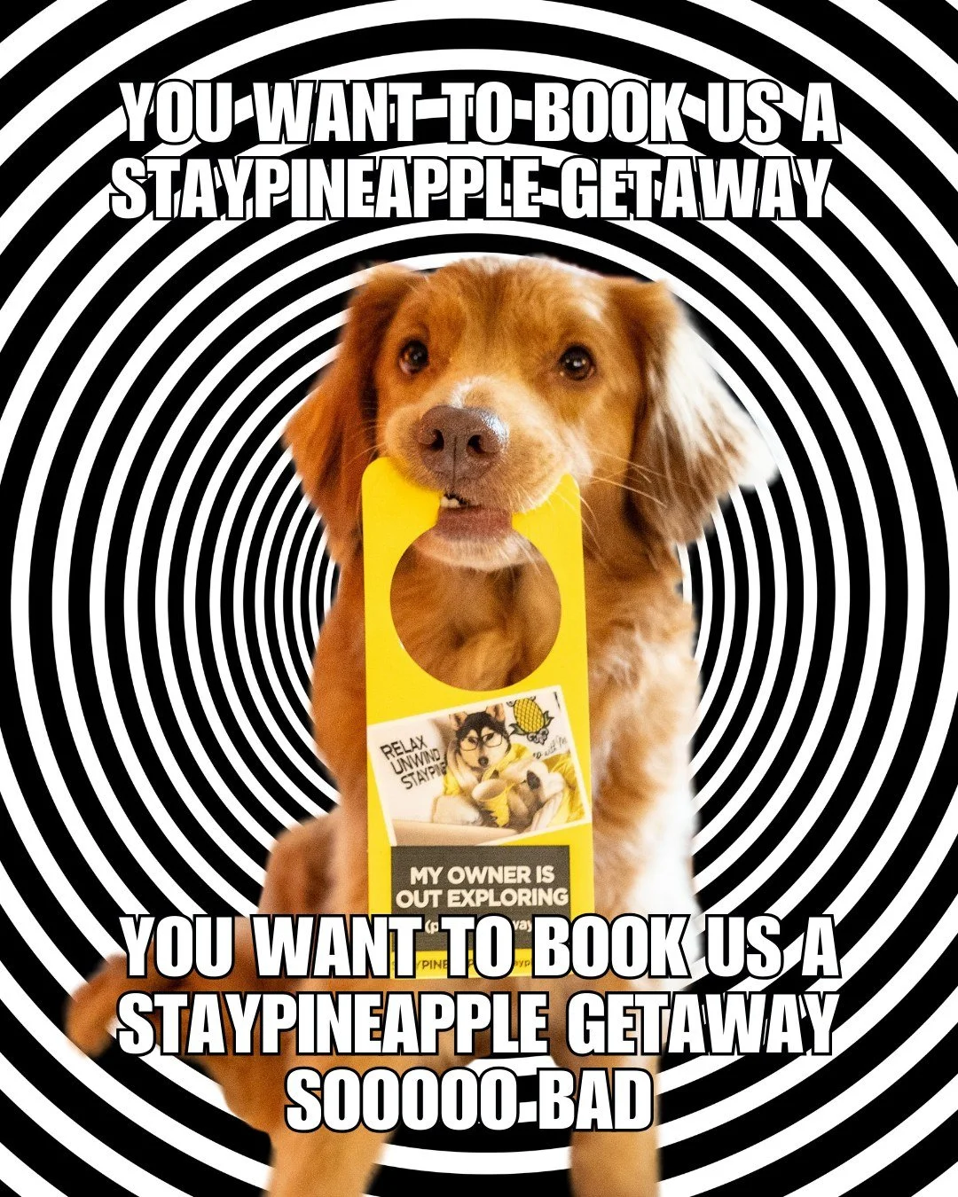 if this landed in your DMs, someone's dropping a veryyyy subtle hint 😌 link in bio to be the best gift-giver ever 💛✨