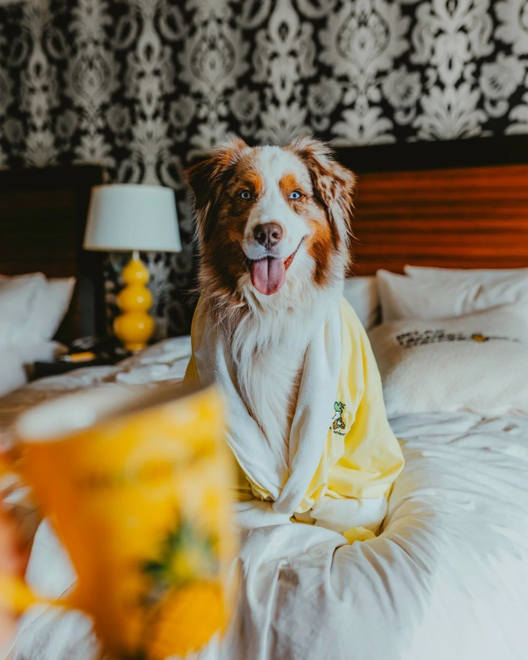 Your pup's holiday wish list: belly rubs, treats, and a staycation at Staypineapple 🎁🐶✨ (in that order)