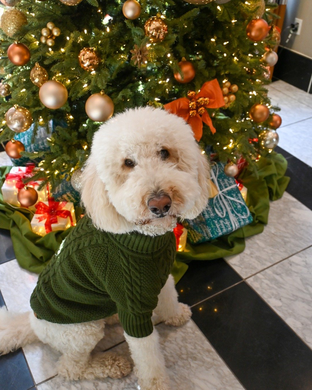 When the lobby d&eacute;cor is almost as cute as your travel companion. Almost.