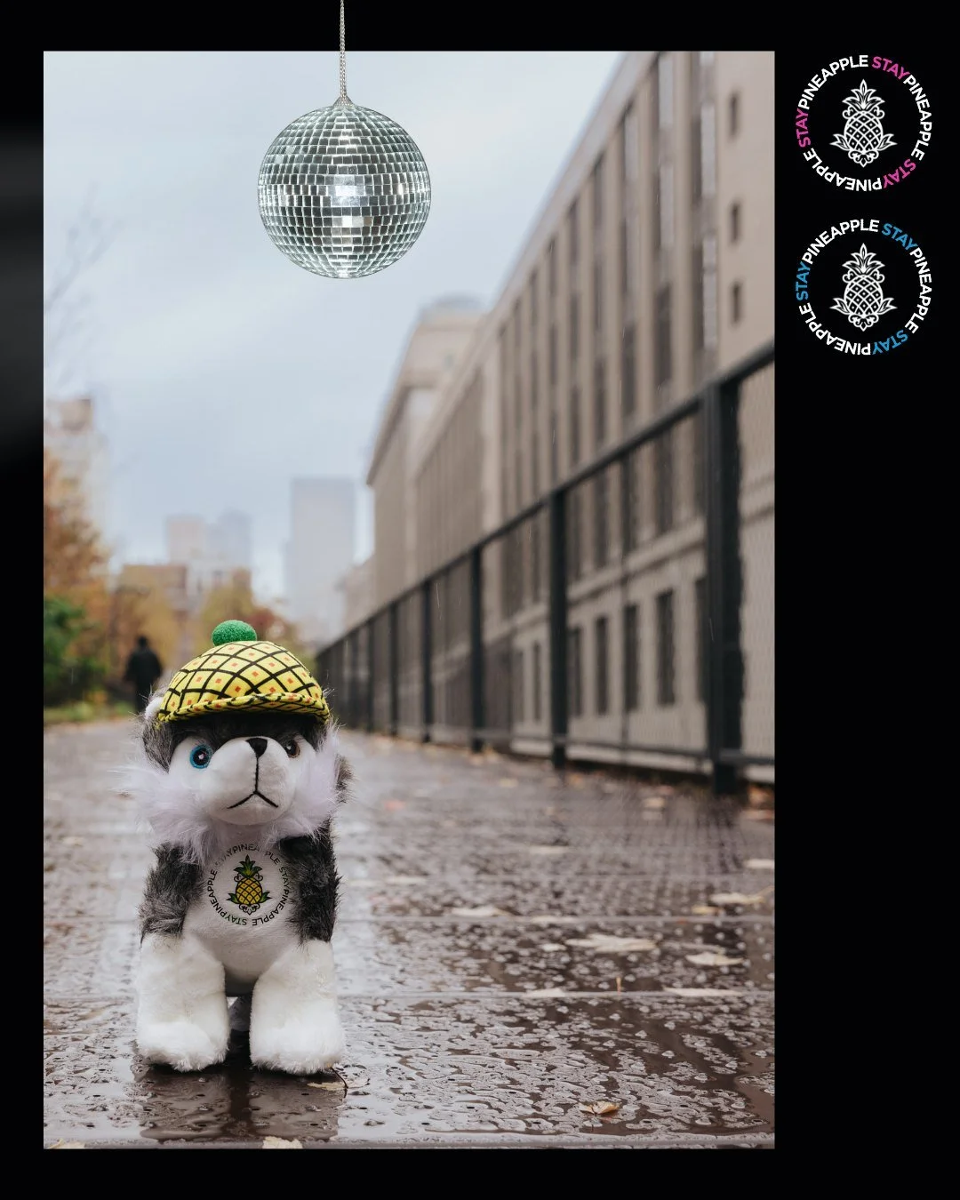 Kiss All the Time. Disco, Occasionally. is out now and we're already thinking about August. Staypineapple New York is walking distance from MSG &mdash; so when Harry's on stage for his 30-night residency, you're basically a neighbor.